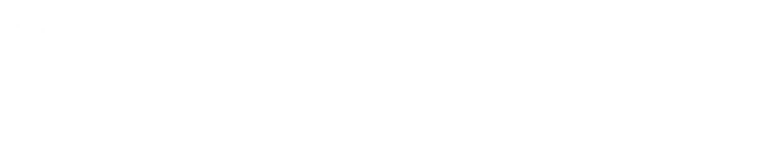 Capital City Aquatics
