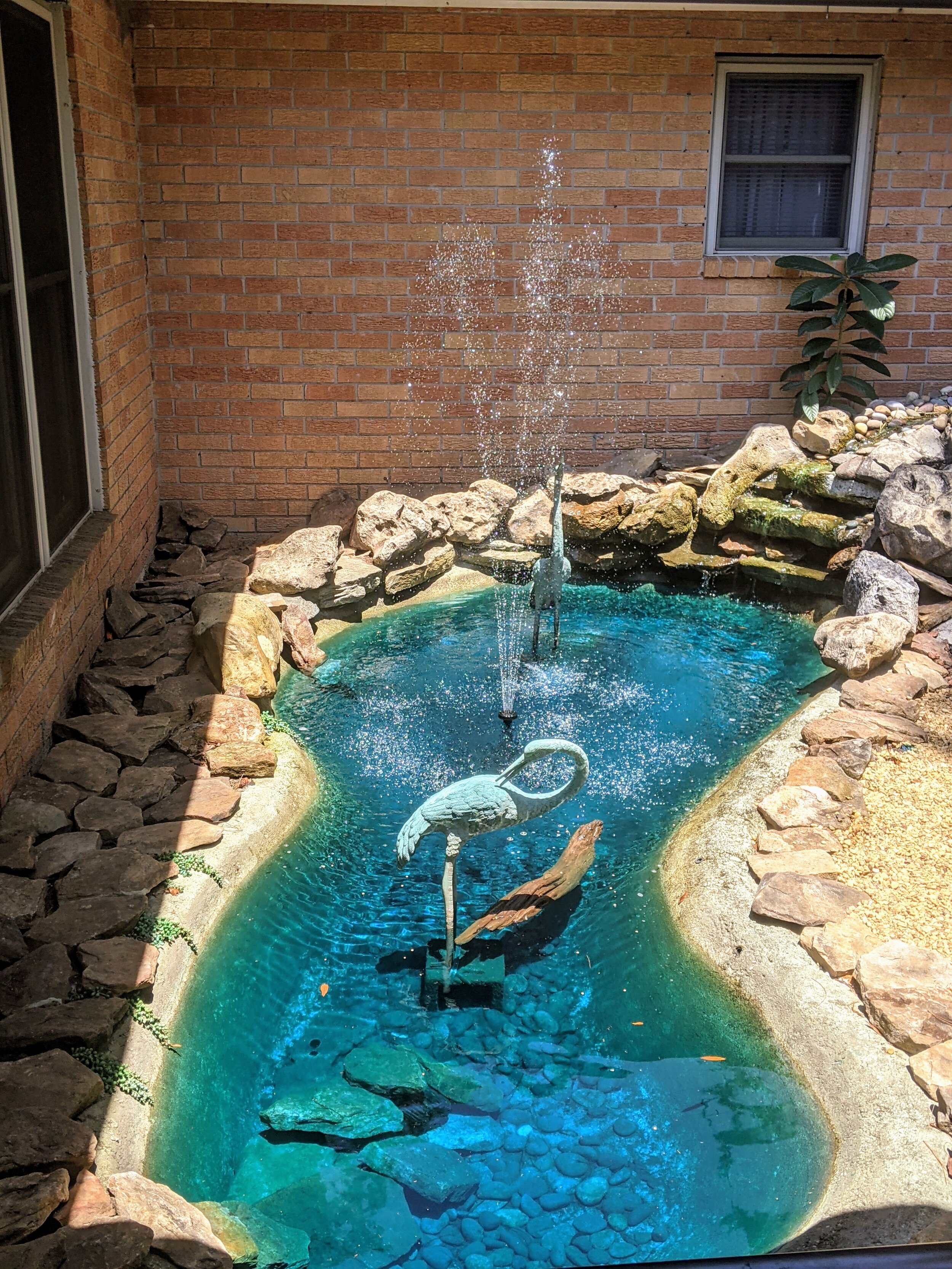 Capital City Aquatics Tallahassee's Aquarium Services