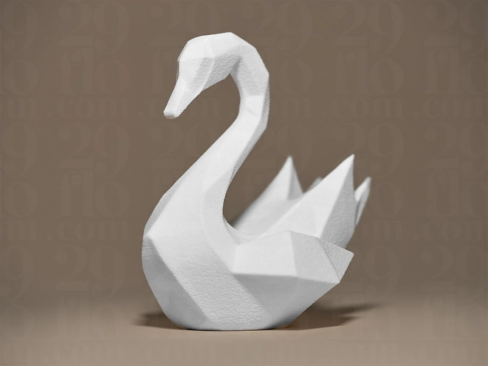 swan2_004_white.jpg