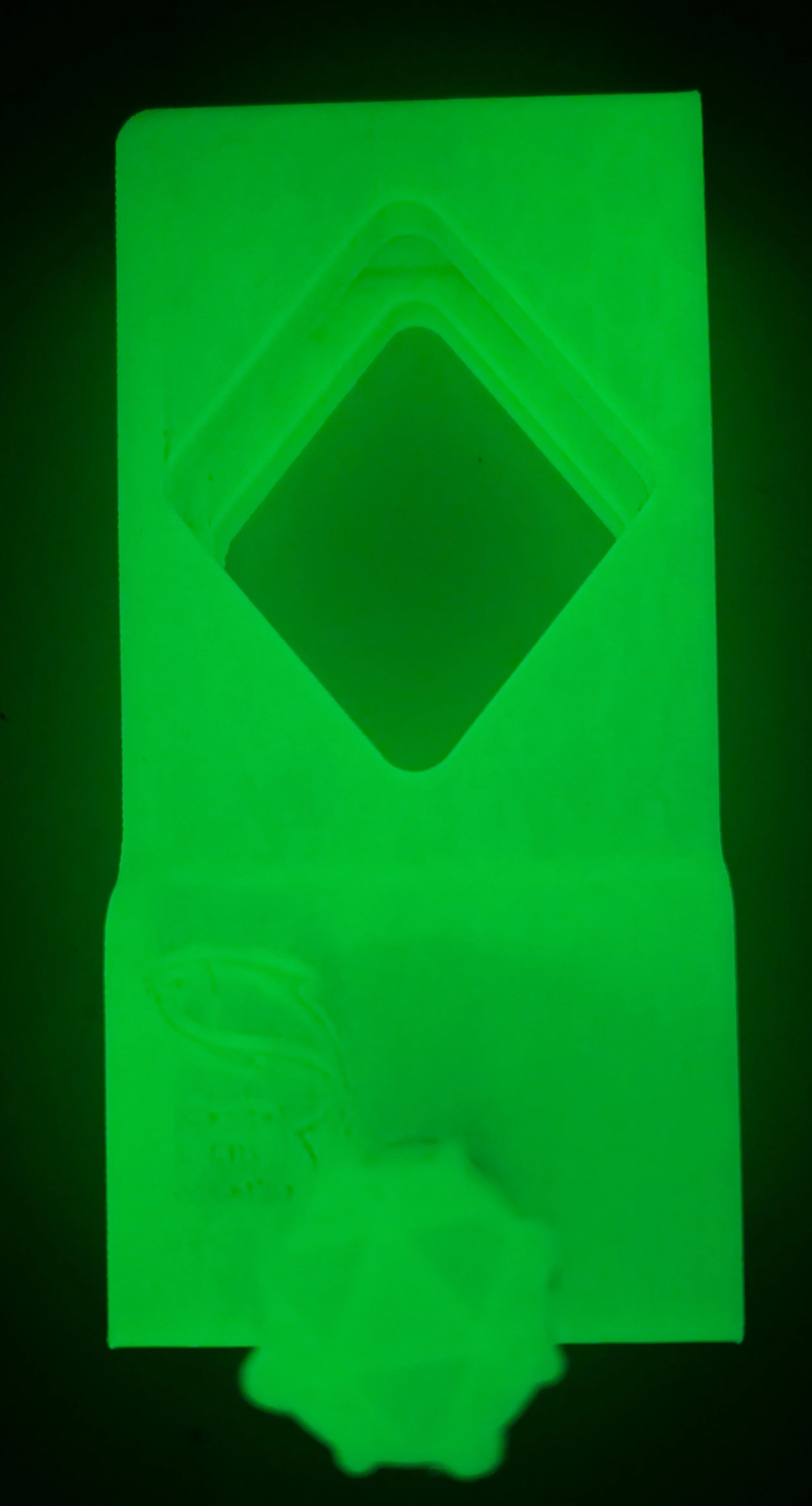 PXL_20260724_160845616.jpg