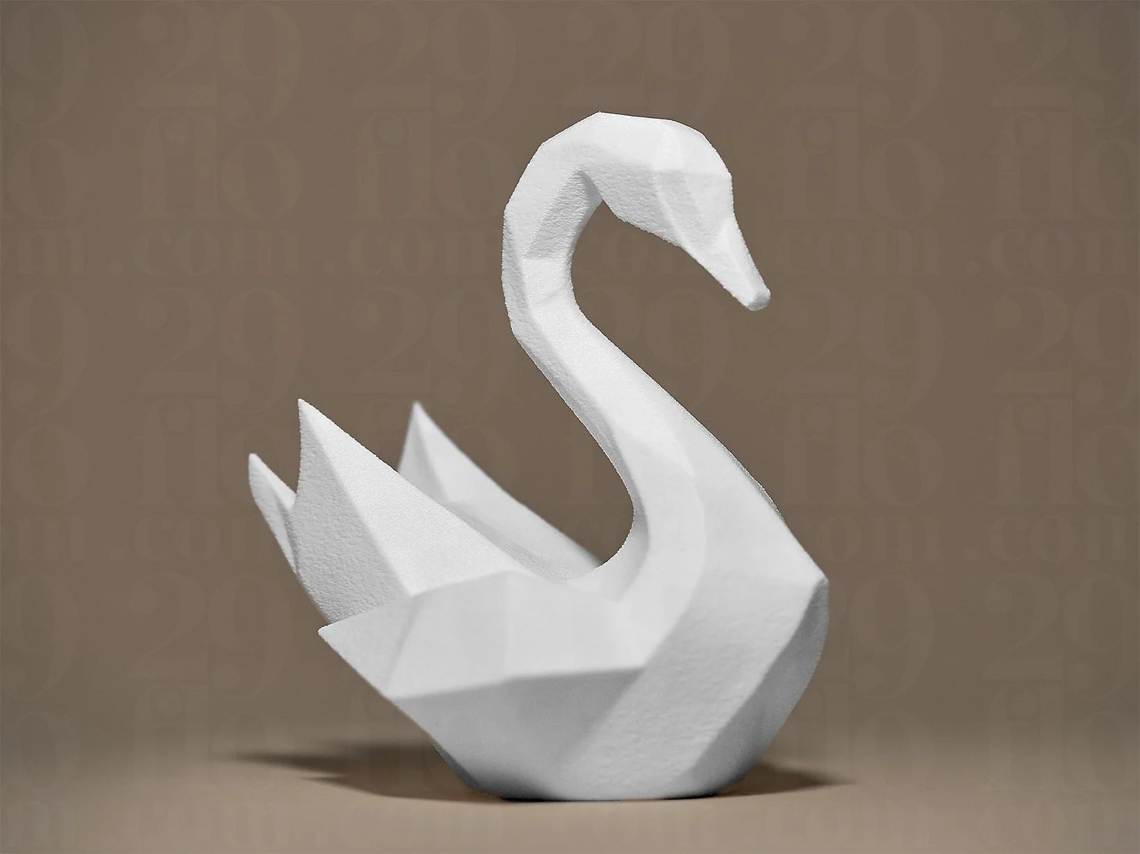 swan2_003_white.jpg
