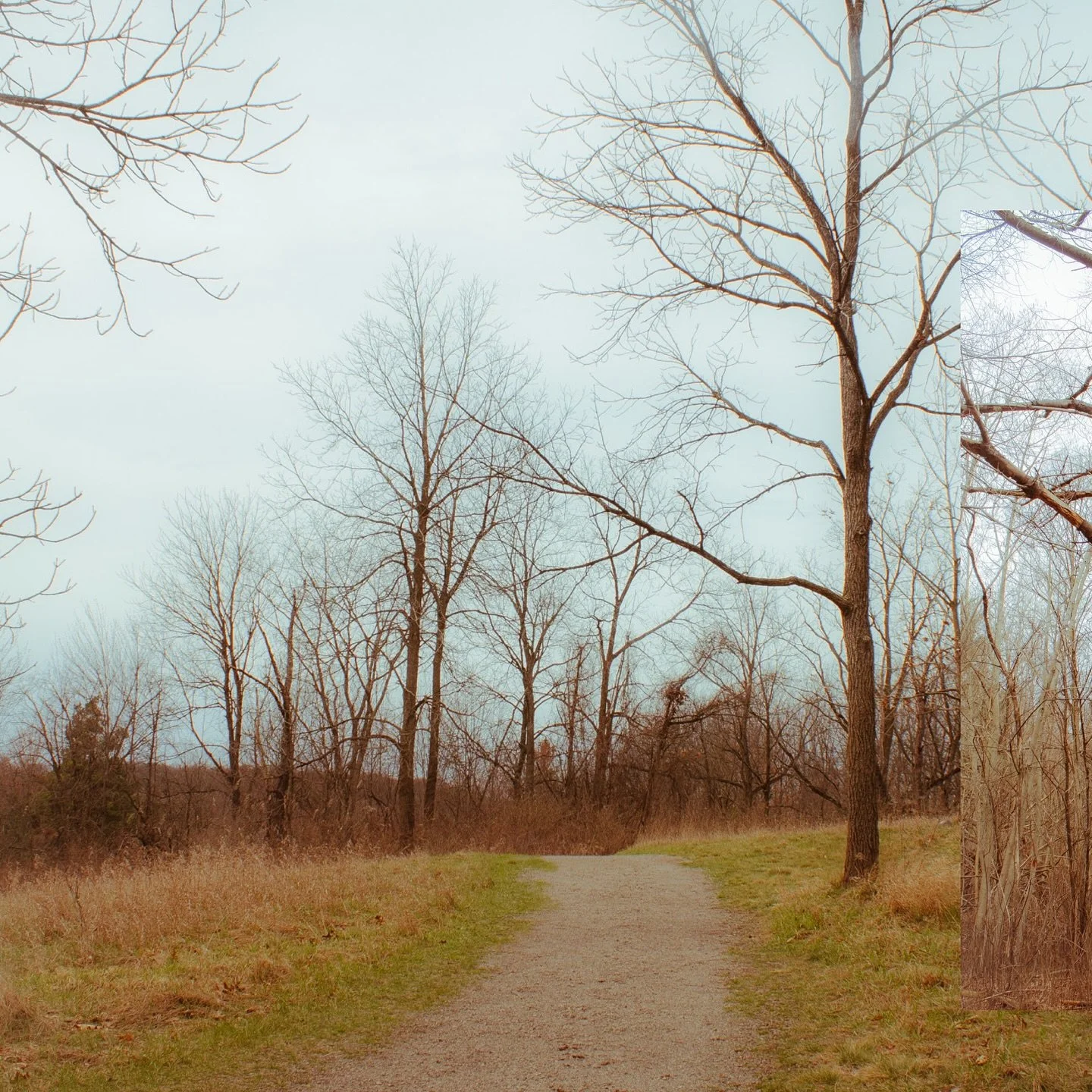 Calm after the storm. 
.
.
.
#WhealthyMedia