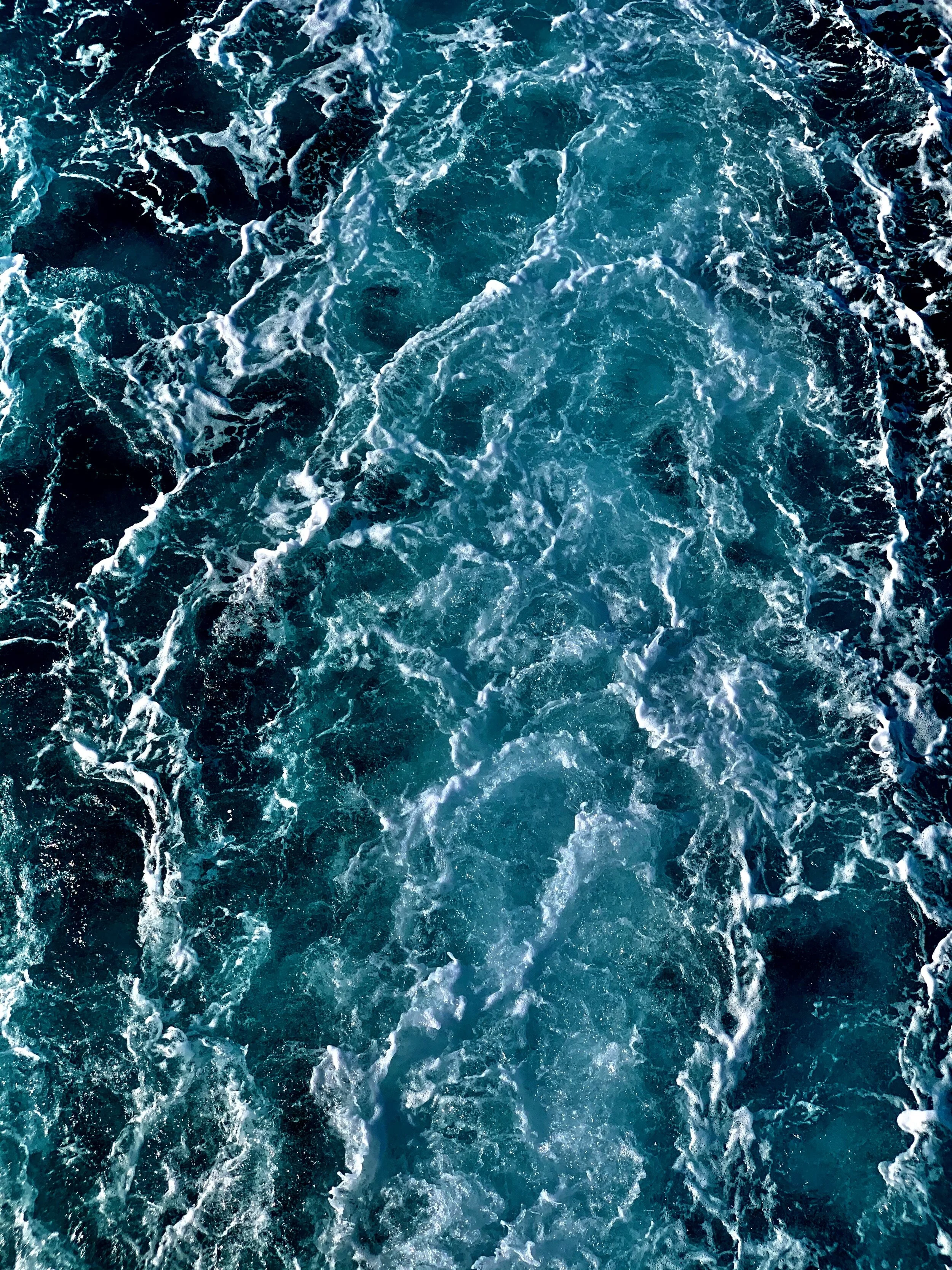 nicolas-desmangles-vGYTu0dxTCY-unsplash.jpg