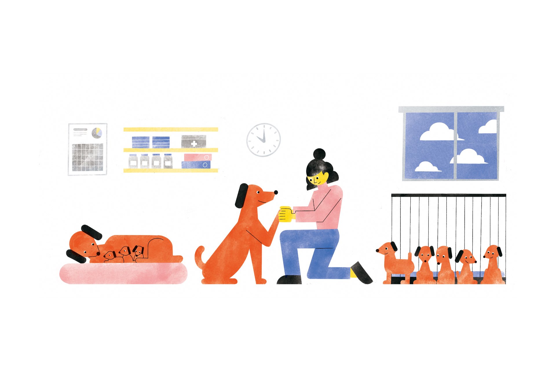 Animal Welfare Newsletter