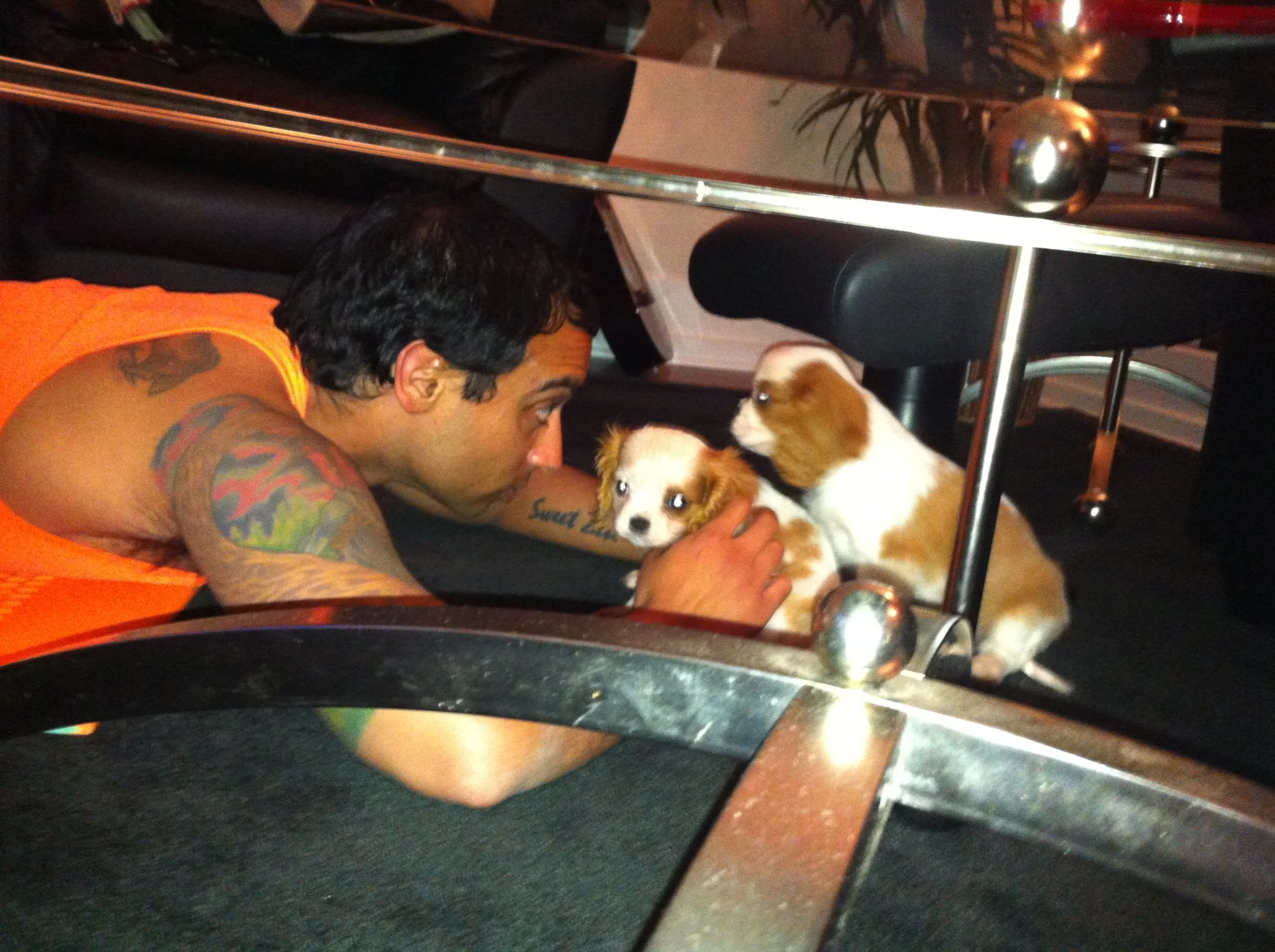 Puppies we can handle.  