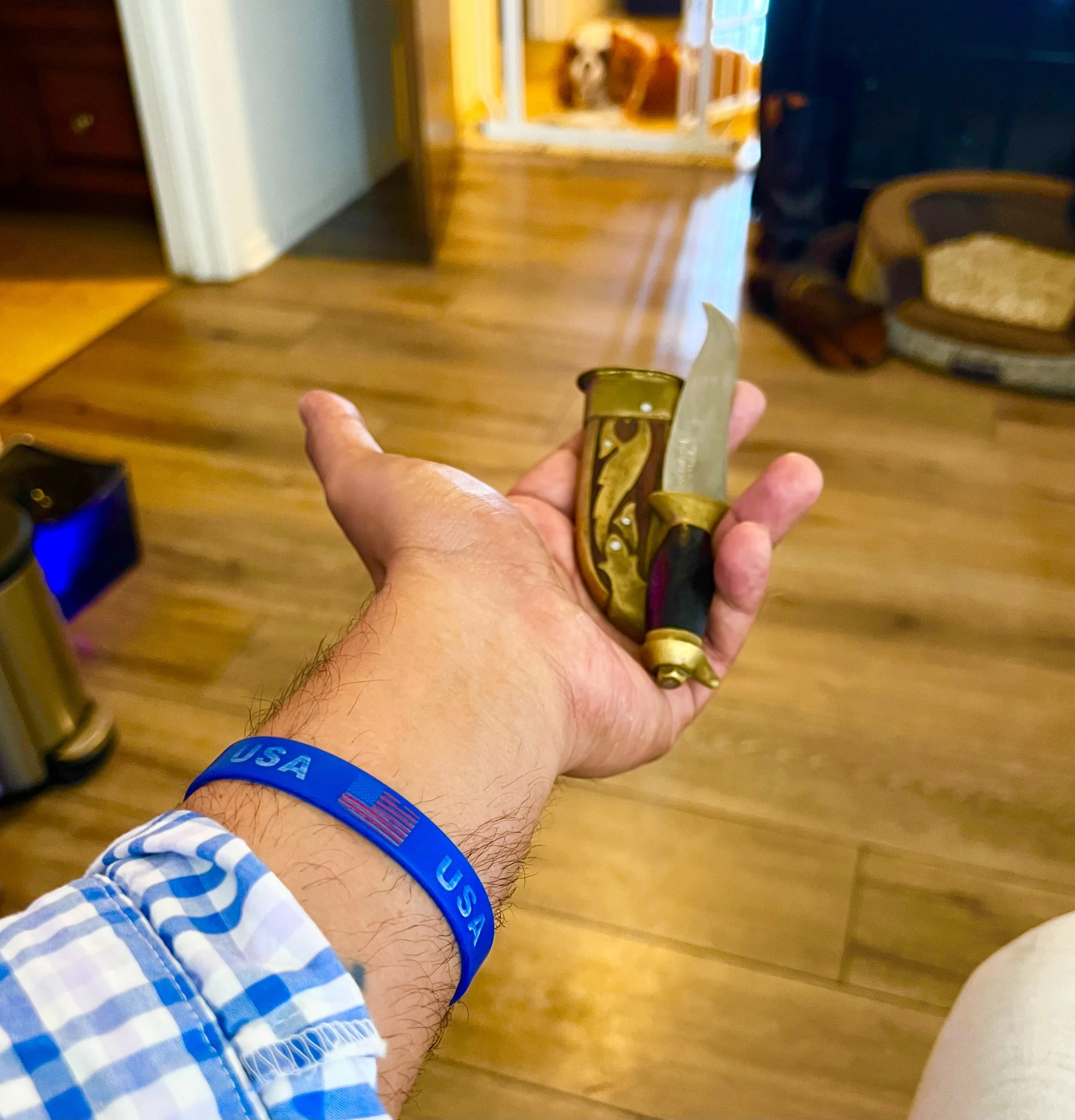 A small Punjabi kirpan.  Look it up.