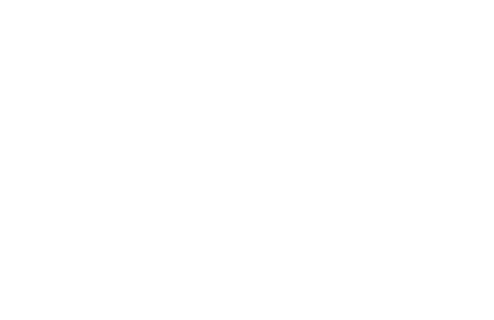 Five Management