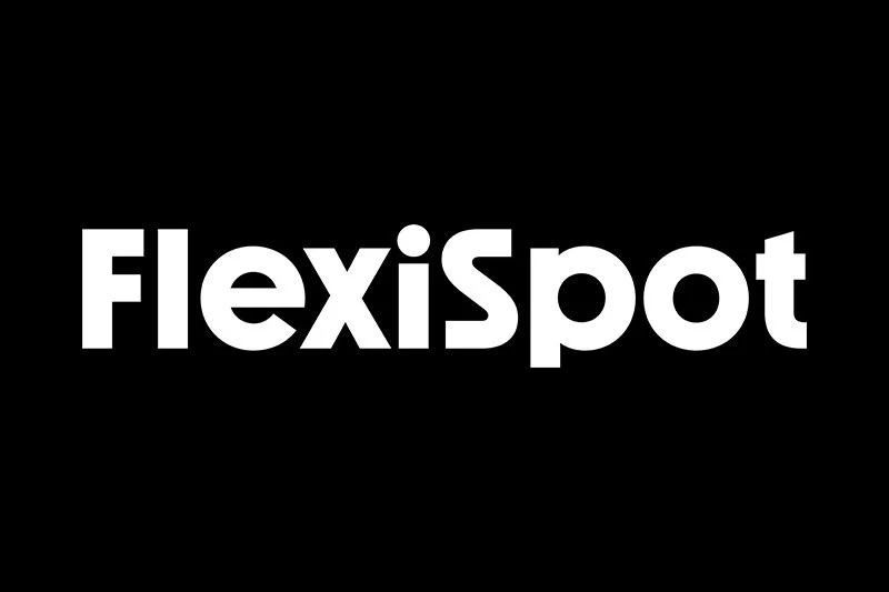 Flexispot.jpg