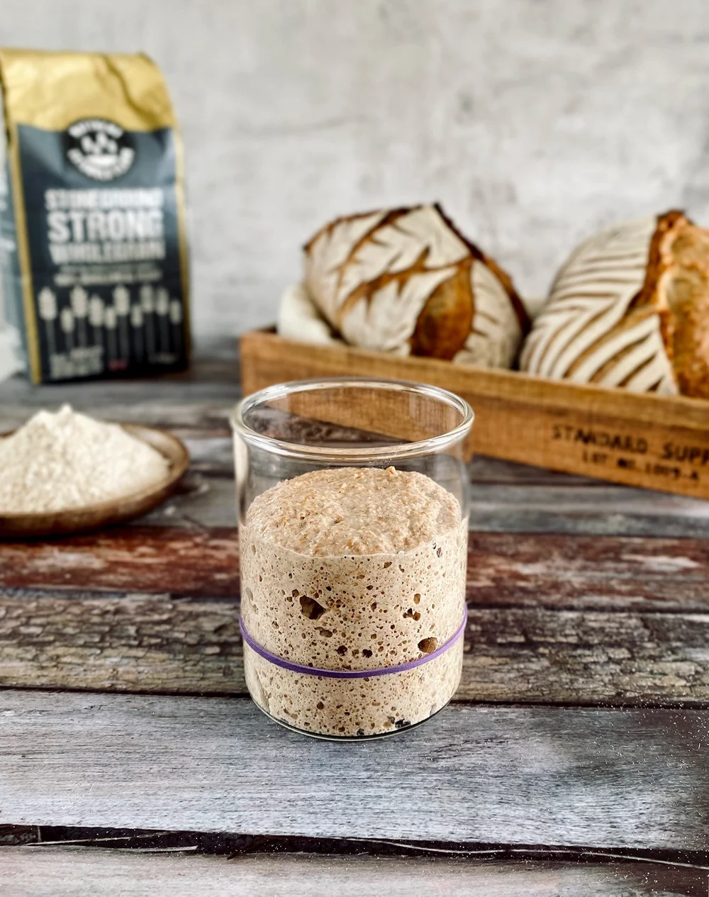 How To Maintain Your Sourdough Starter — Sourdough Fever