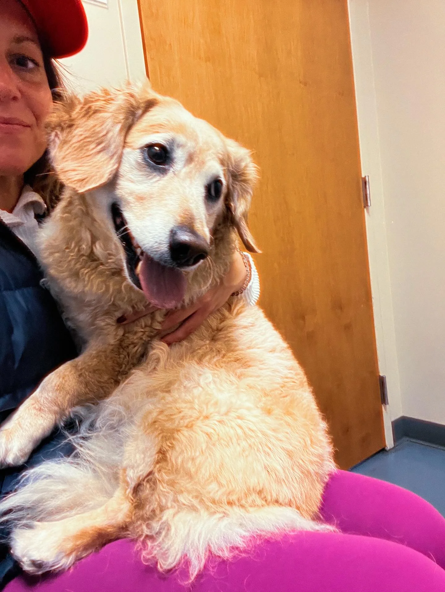 LOVE looks like this&hellip;shaken, steady, and still standing. This is the look of two anxious hearts. 🫠 Earlier today, Wrigley was attacked by a big dog on our walk. 

Then I was chased by the same dog (because I had scooped her up) 

I was shakin