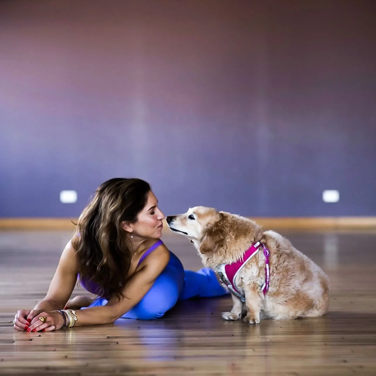 WRIGLEY JUNE. BIRTHDAY. HALLELUJAH.❤️🥳

(Am I trending or what?! He he)

All jokes + trends aside&hellip; April 24 is her day. You may see her as just another dog, but to me..she&rsquo;s my dog-ter 😉

Get to know my little piece of sourdough and kn