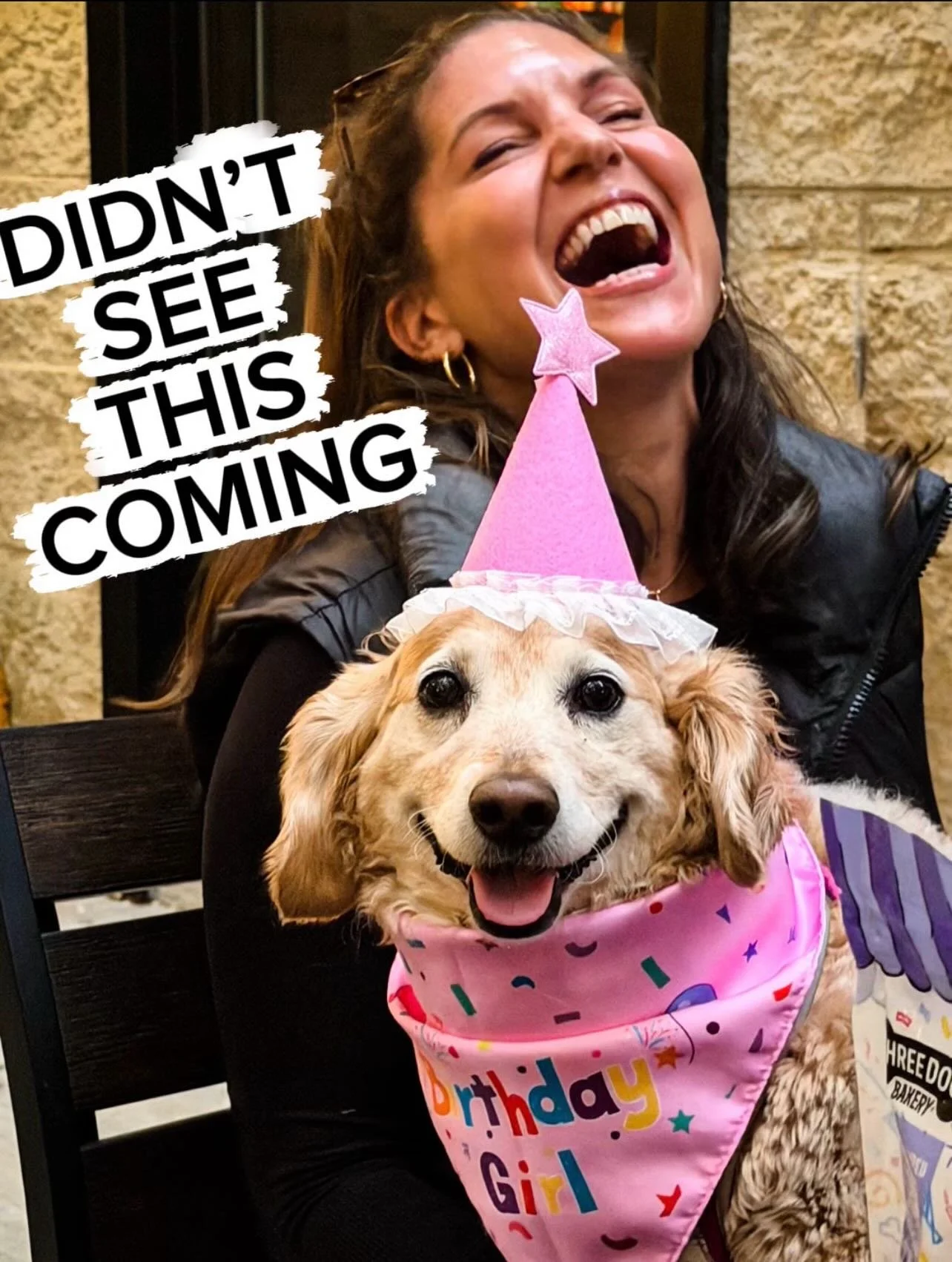 1️⃣ Did I EVER see myself throwing a bday party for my dog? NOPE. 2️⃣ Did I picture myself loving something this much? Also NOPE. 3️⃣ Did I think one photo could ever capture our essence? Nope again.

Eight years in&hellip; and yep, I&rsquo;m this pe
