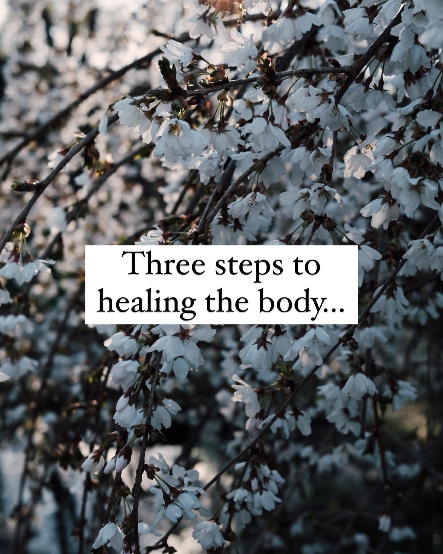 Every form of stress fills your &ldquo;stress bucket&rdquo;. When we experience too much accumulated stress, our bucket overflows and we become sick. 

💭 Reflection and thoughts: 
Three steps to healing the body. 
Number one is to identify the inter