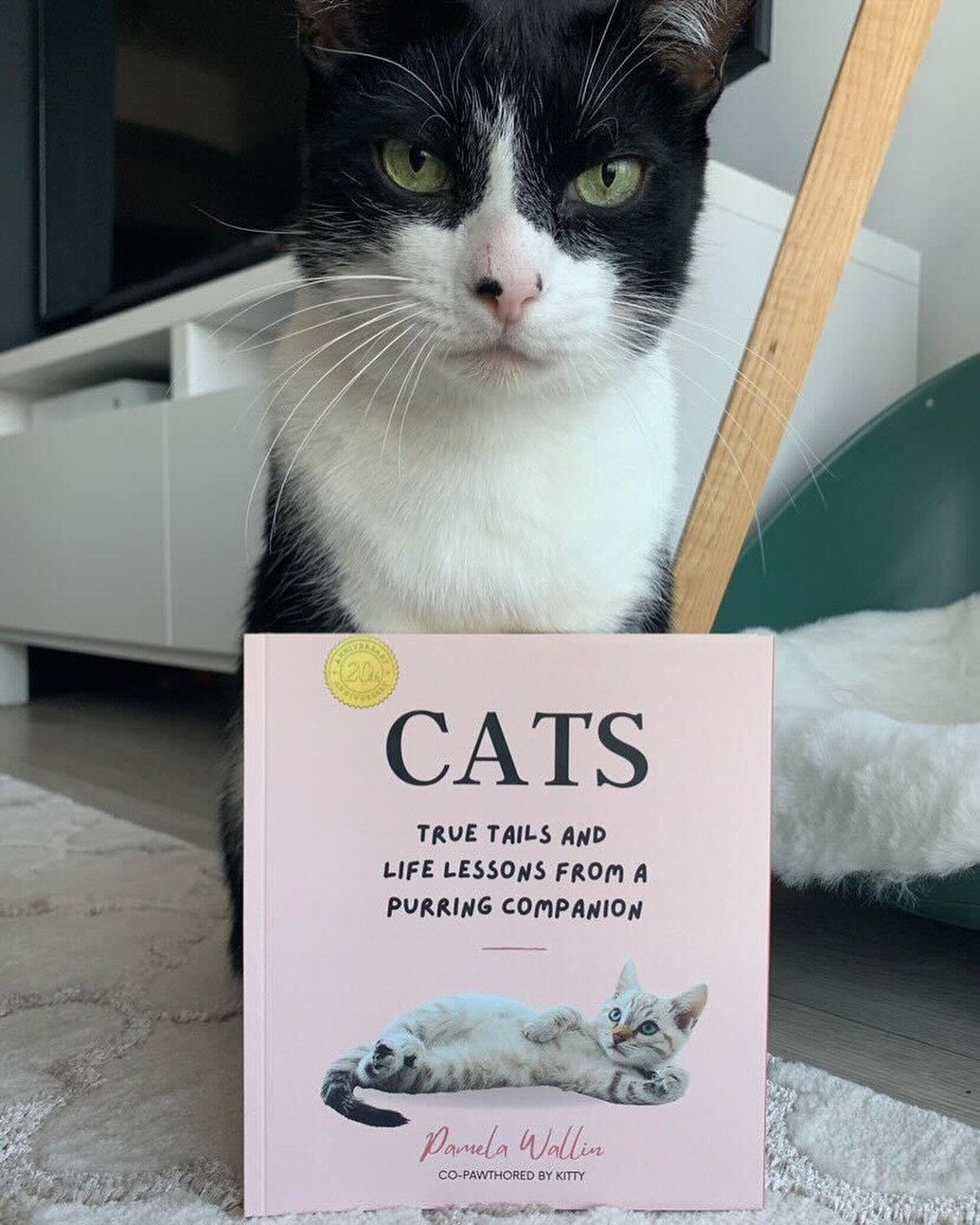 A round of a-paws for Pamela Wallin&rsquo;s &ldquo;Cats!&rdquo; 
Owners and pets alike can&rsquo;t get enough of this adorable book, filled with anecdotes and observations about our furry and feisty friends. Just ask&nbsp;@thepurrpawsbros&nbsp;😻 
Ha