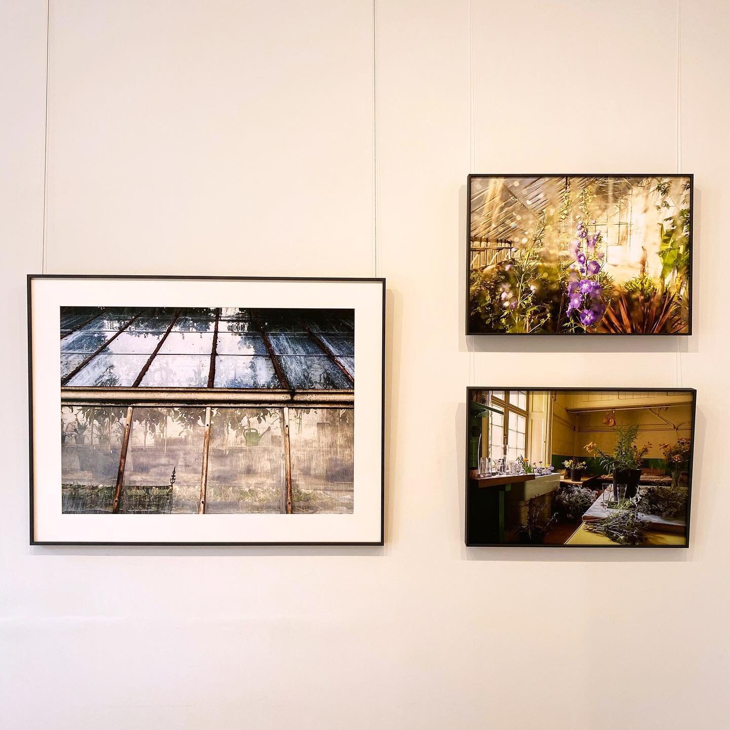 For the first time at Spring we have a photographic artist in our show, and what a special one we have found for you. 

Award winning photographer Amanda Harman has brought her series &lsquo;Garden Stories&rsquo;, which gives the viewer a candid view