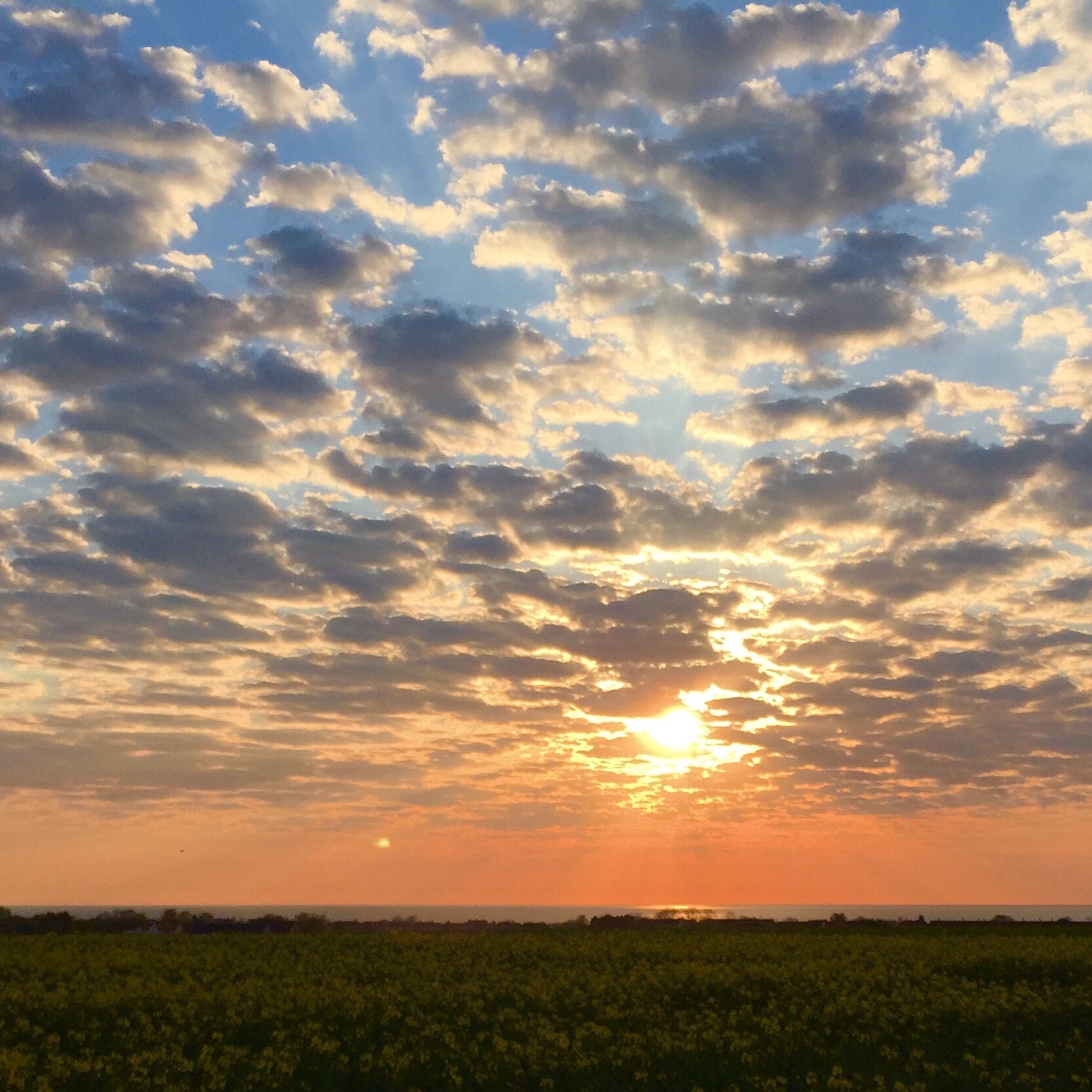 Jazz Under Stjärnorna - Nils Landgren Funk Unit