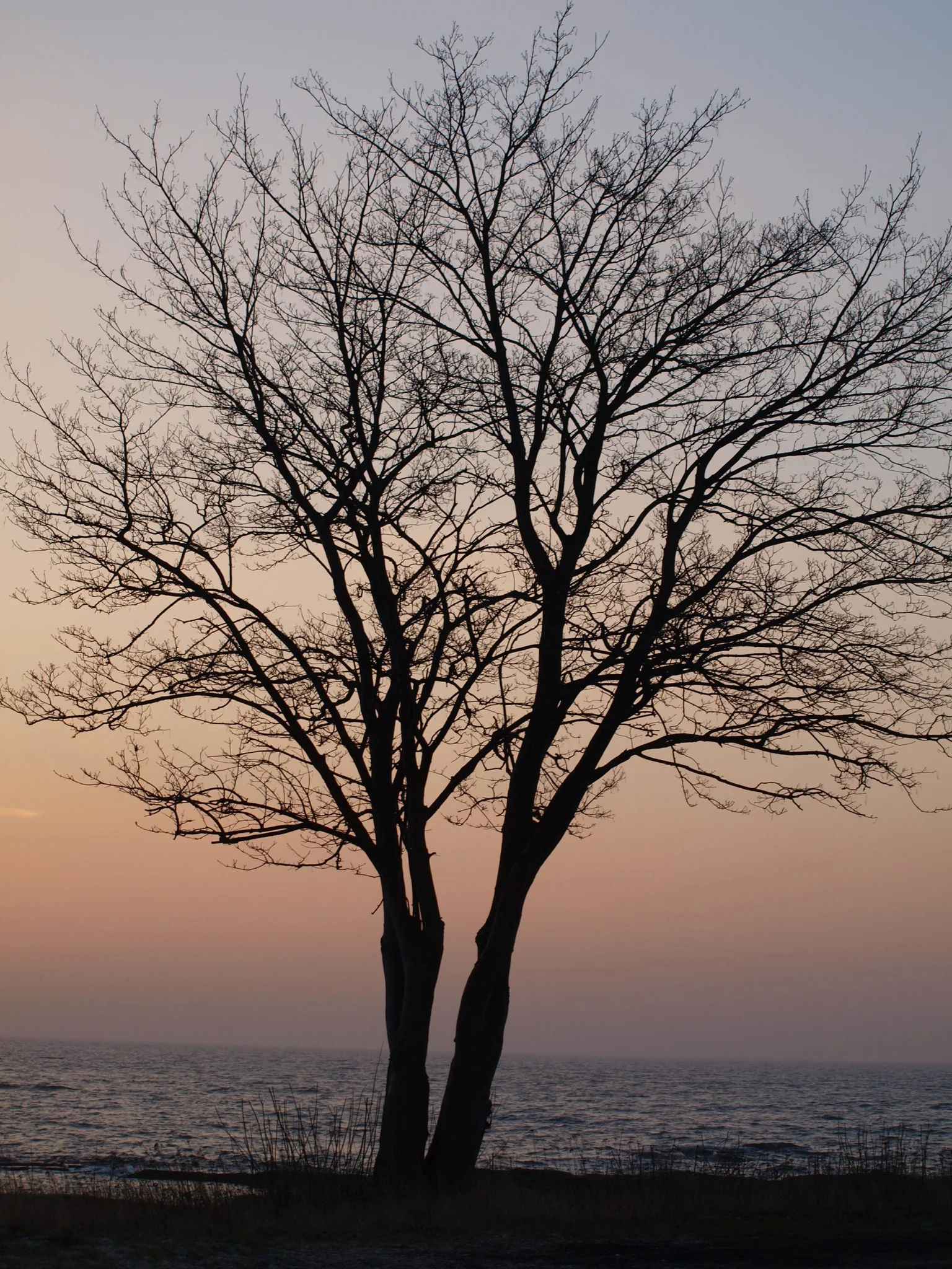 P1015773.jpg