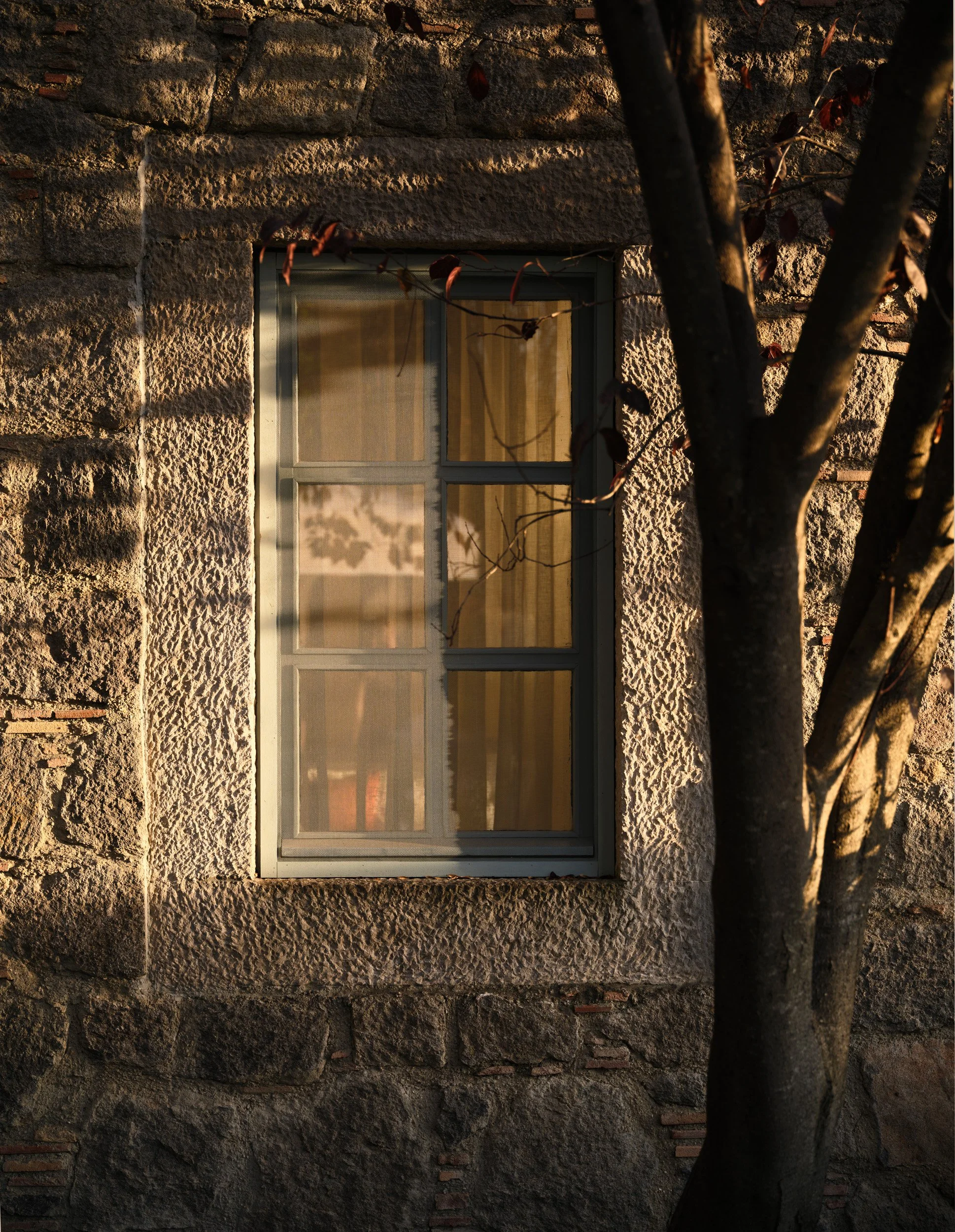 esra kazmirci - bodrum - 2025 - ekim 302.jpg