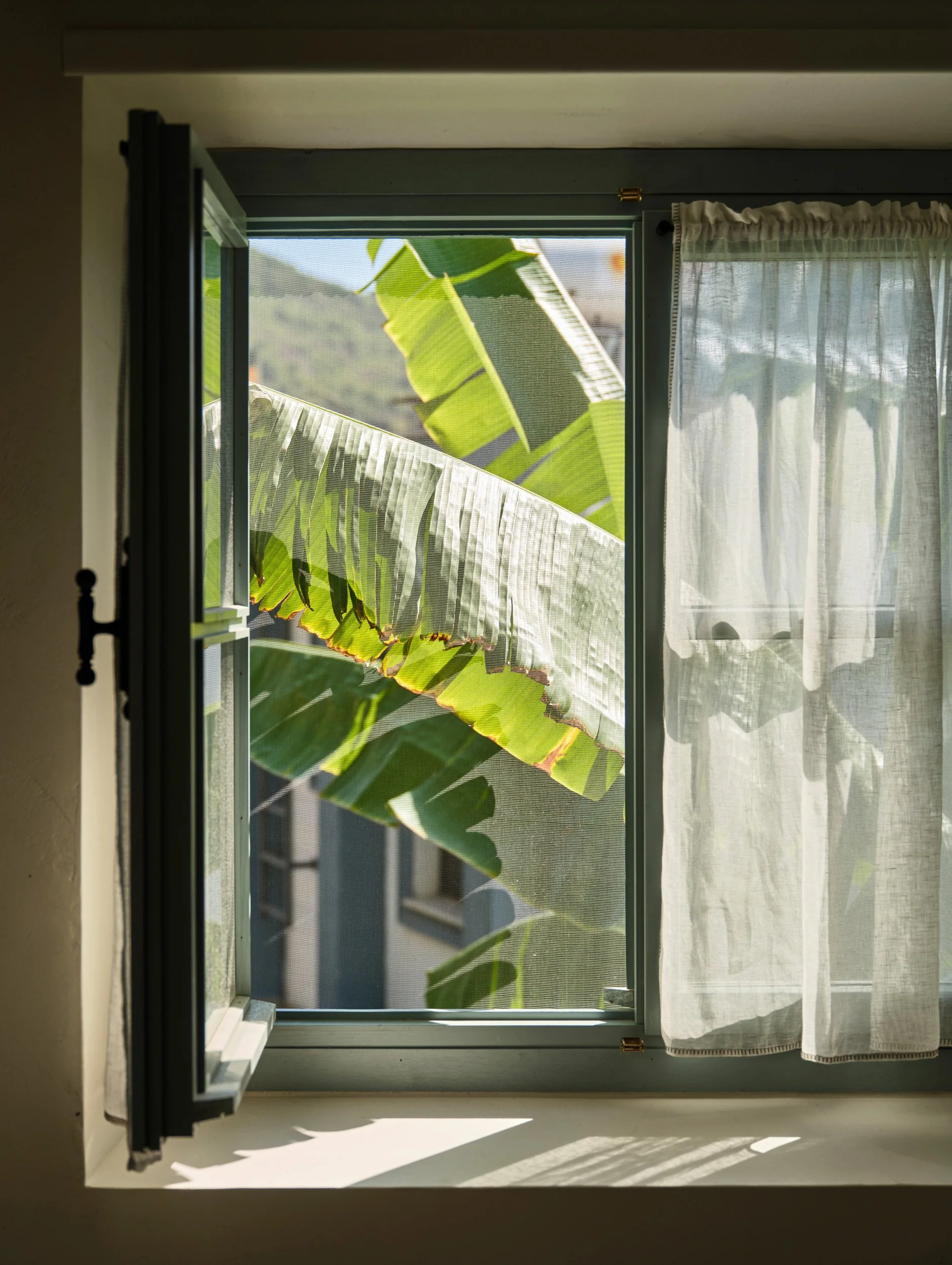 esra kazmirci - bodrum - 2025 - ekim 104.jpg