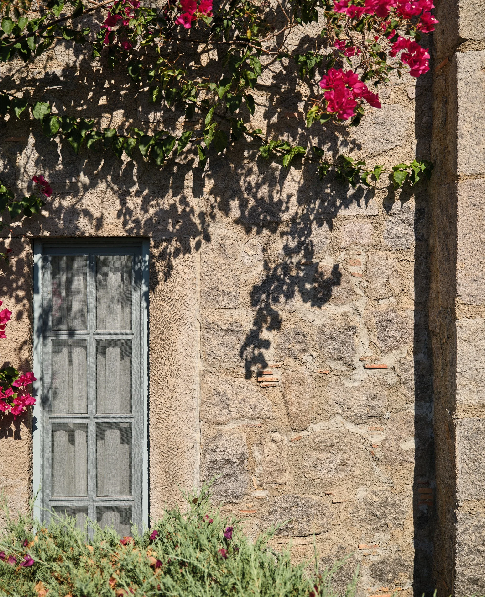 esra kazmirci - bodrum - 2025 - ekim 31.jpg