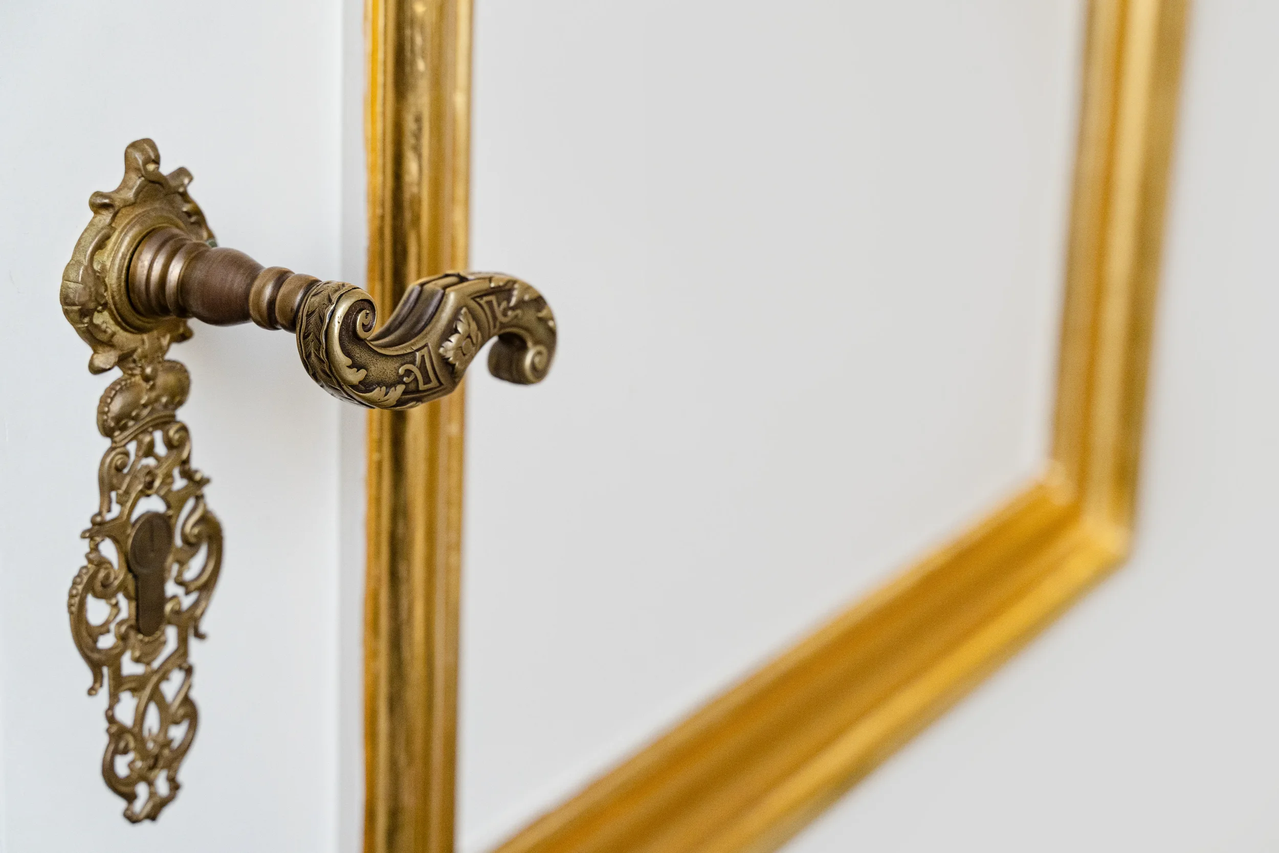 Designer Door Handles