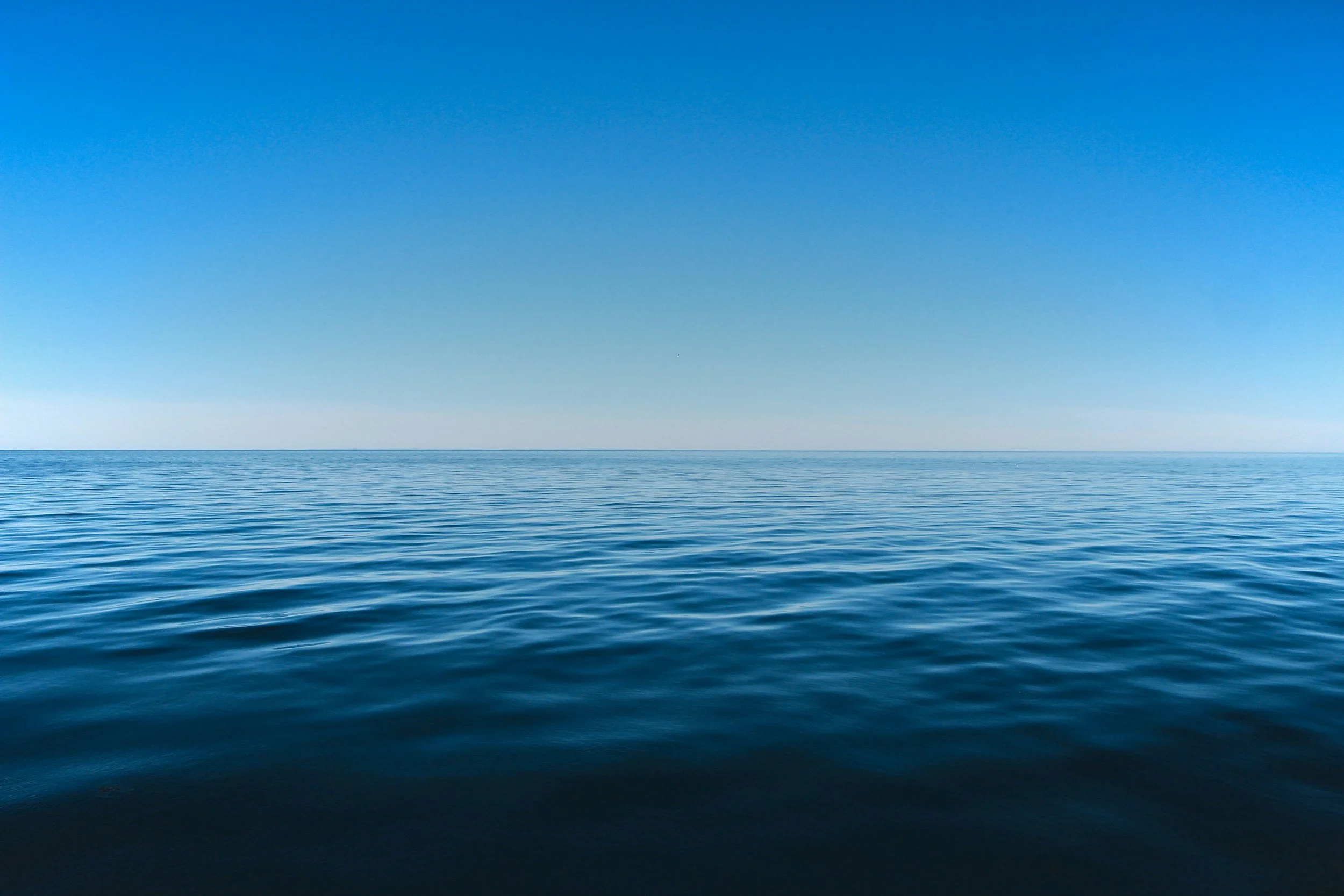  Local Media Needs a                         Blue Ocean Strategy.