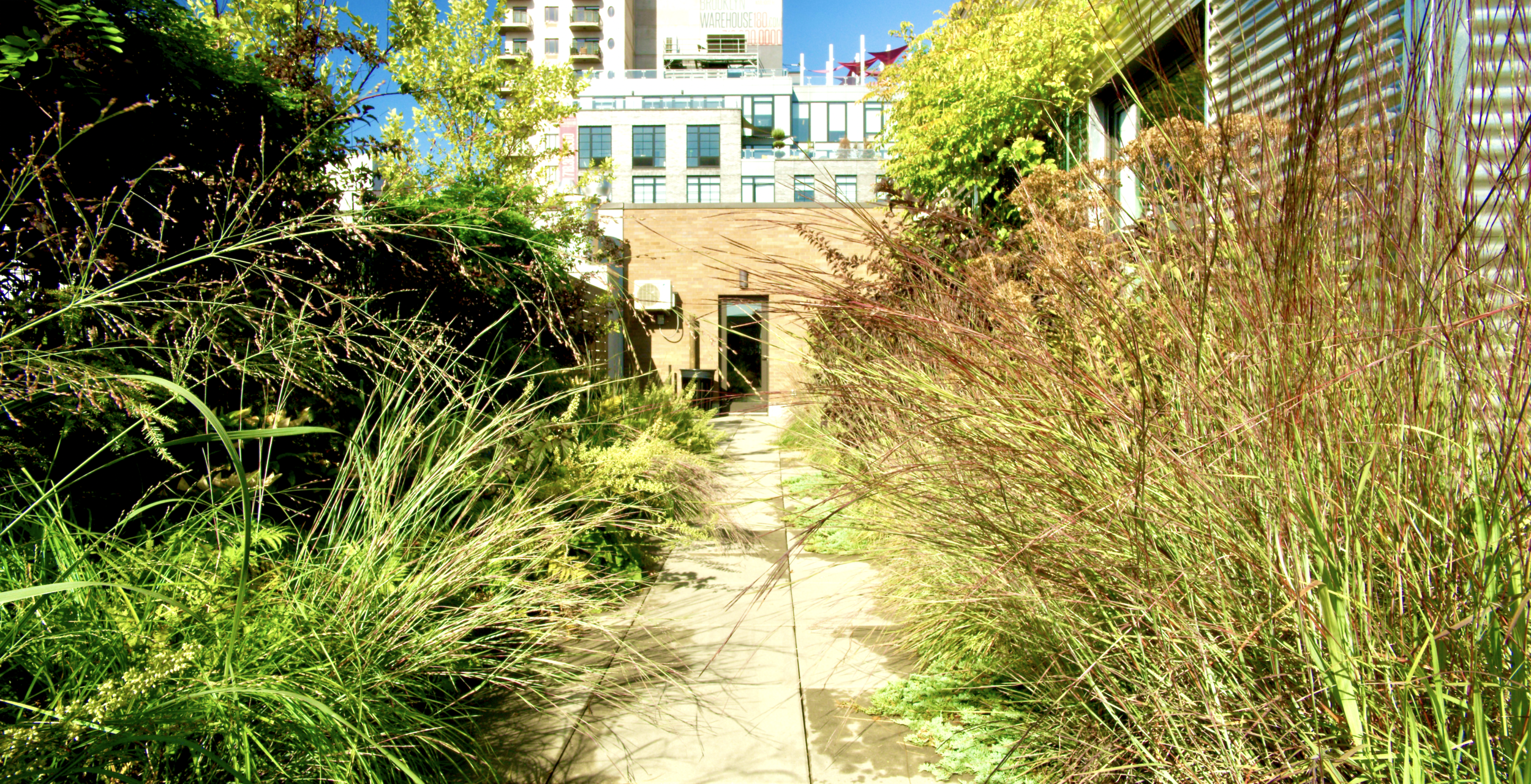 A004_C049_0903QQ.0000000.sg.png