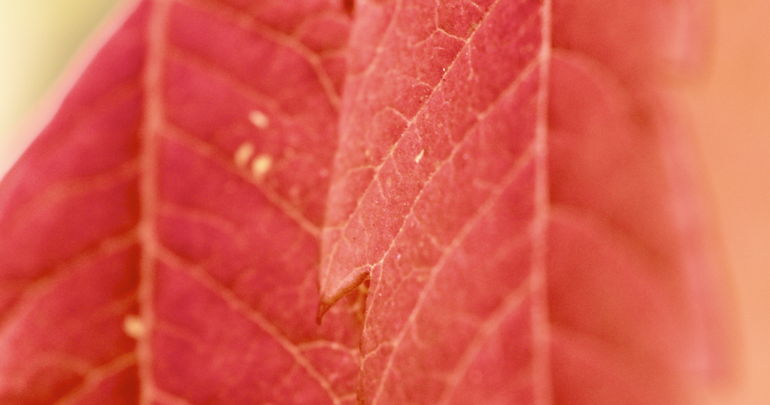 A004_C103_0903S5.0000207.sg.png