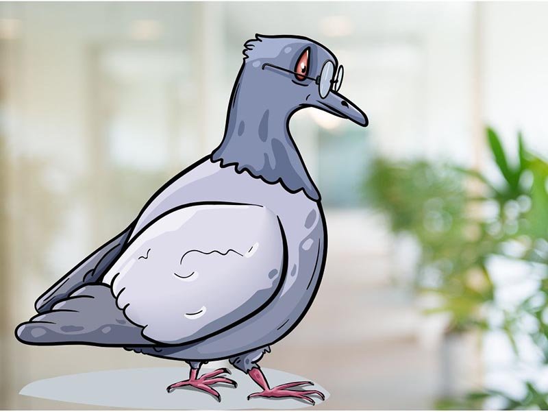 Is AI Actually Intelligent? A Surprising Lesson from Pigeons