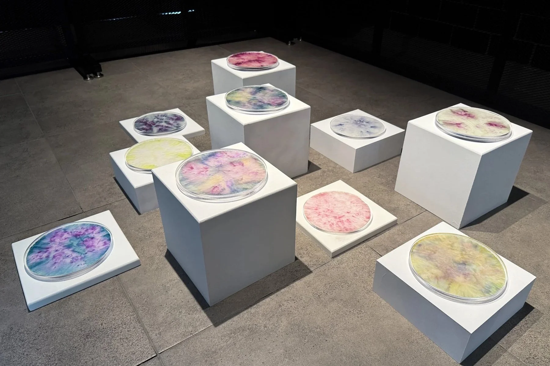 2026 Dome House Residency Program Closing Celebration + Exhibition&nbsp;