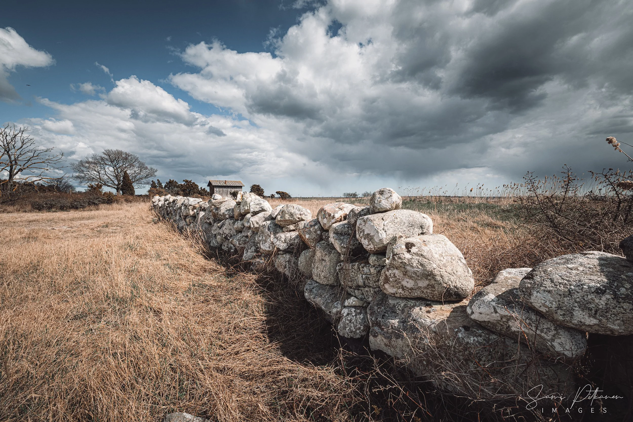 4L5A9101-2026-04-28-gotland-samipitkanenimages-tag.jpg