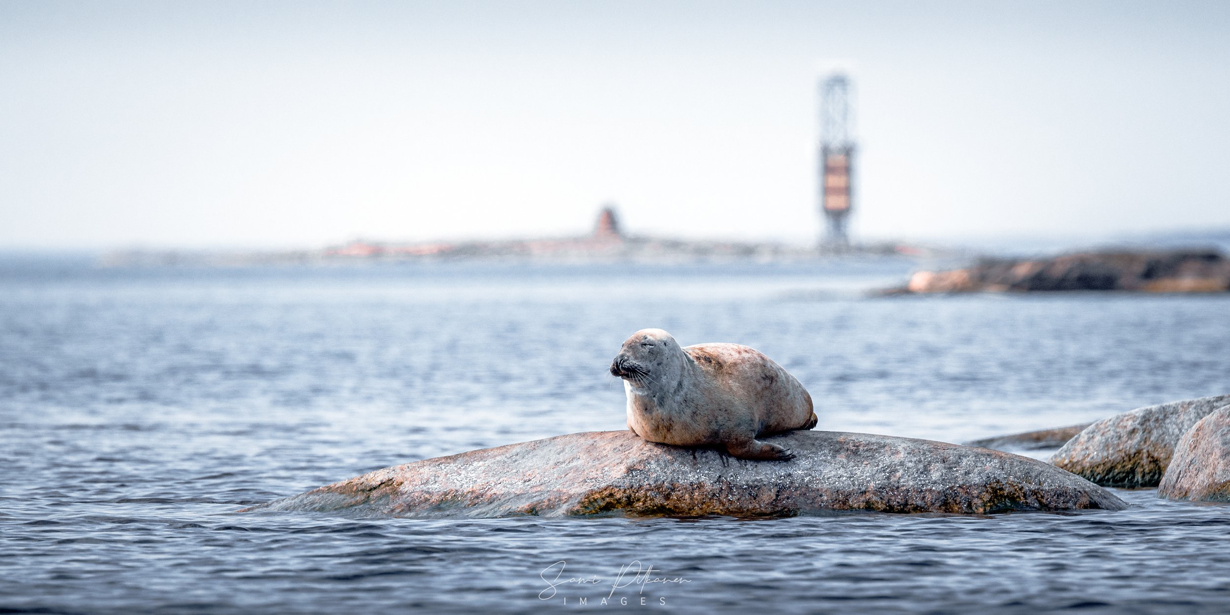 4L5A9775-2026-05-16-hylkeet-rysshamn-samipitkanenimages-tag.jpg