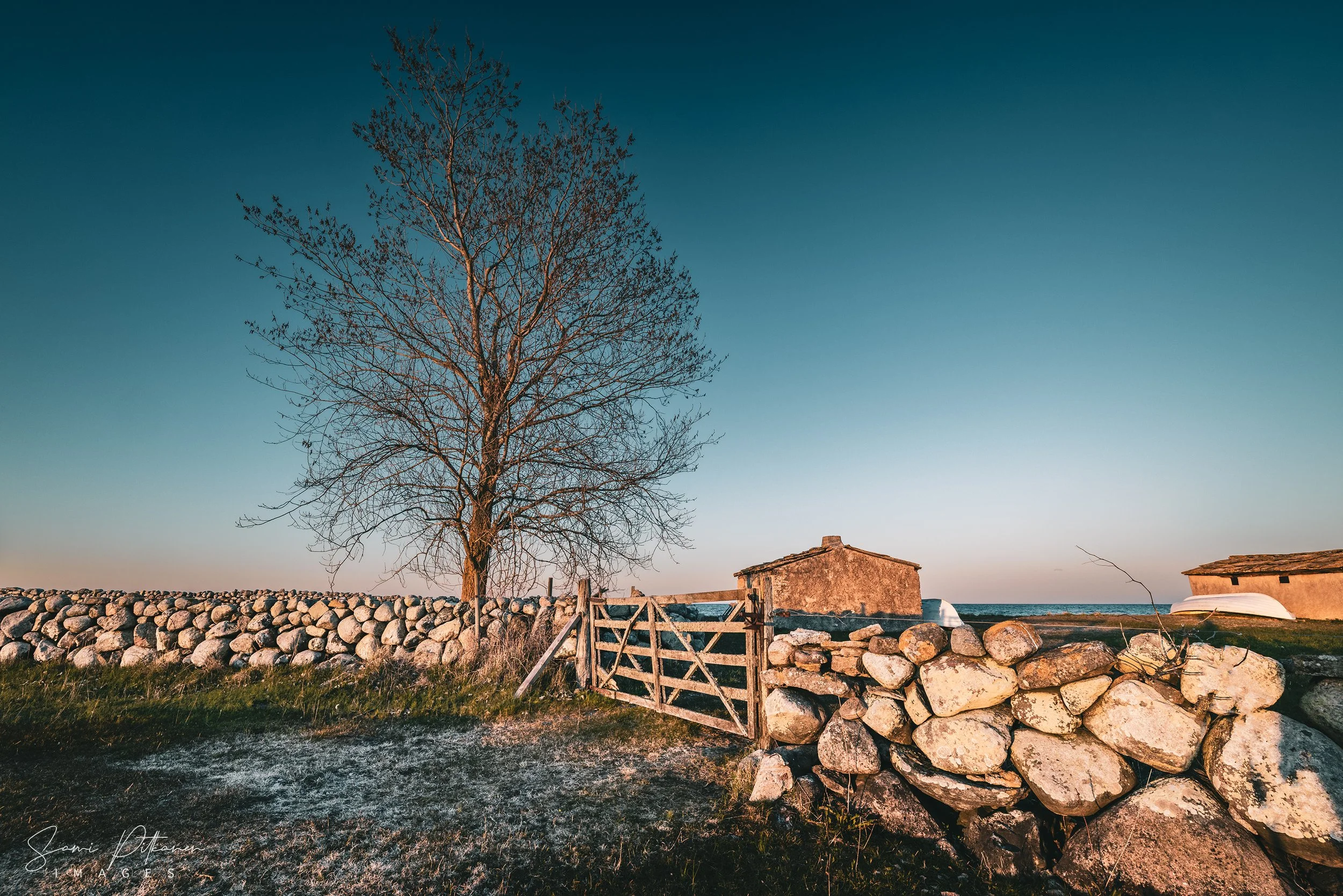 4L5A9143-2026-04-28-gotland-HDR-vedos-samipitkanenimages-tag.jpg