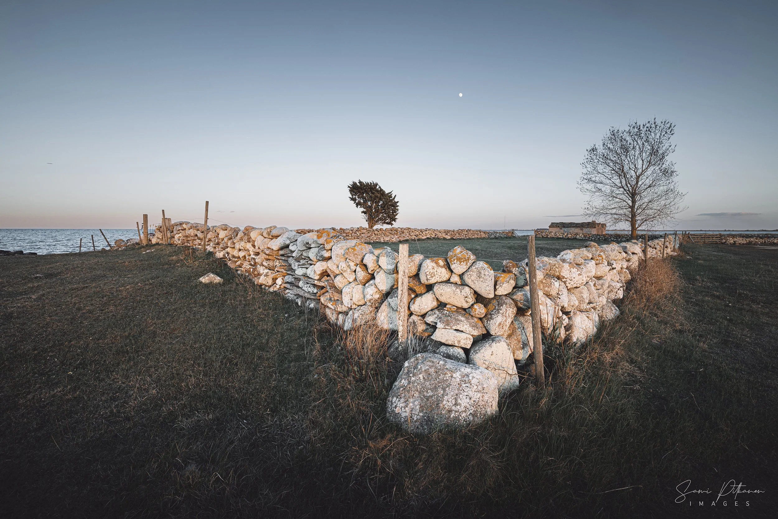 4L5A9127-2026-04-28-gotland-samipitkanenimages-tag.jpg