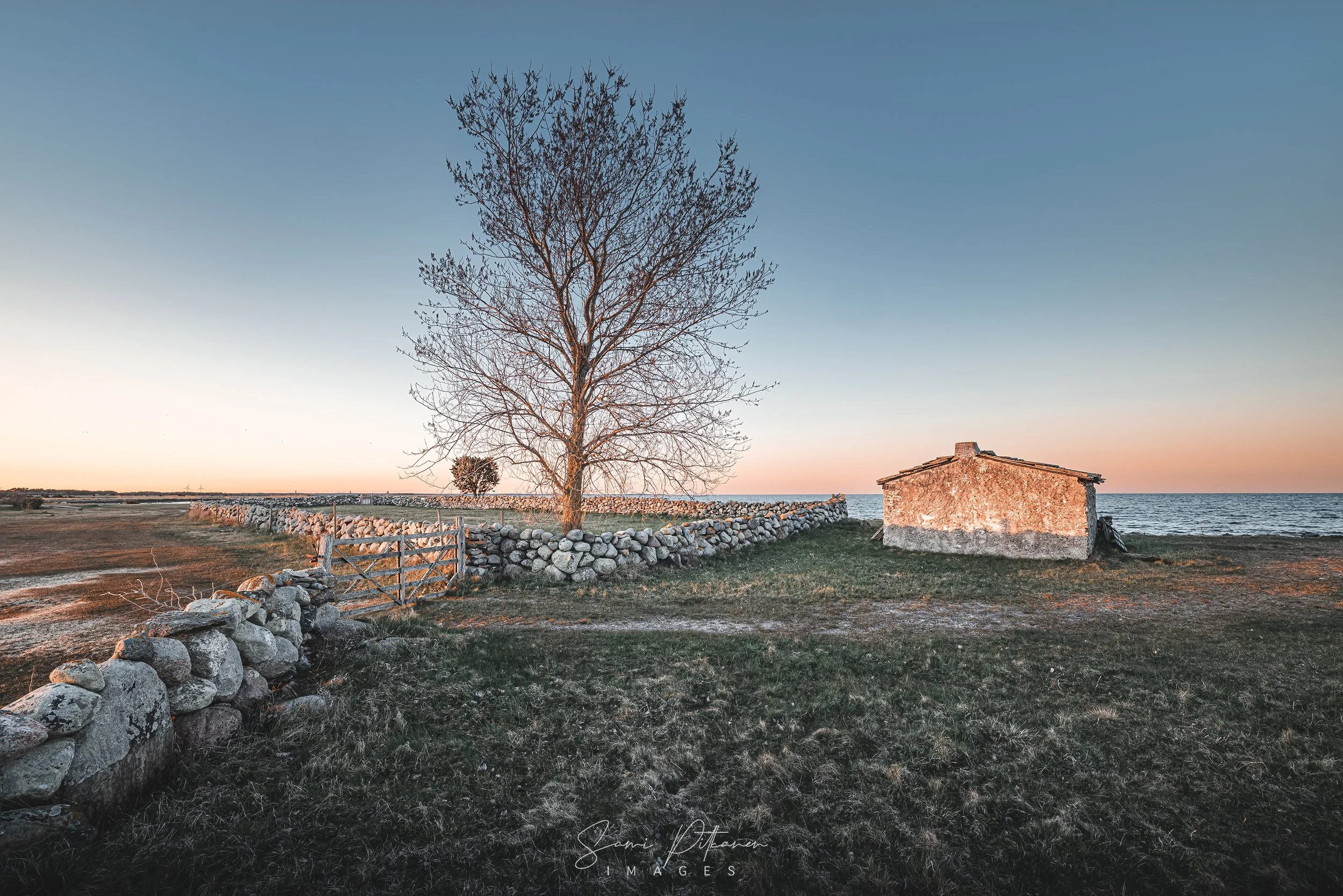 4L5A9153-2026-04-28-gotland-vedos-samipitkanenimages-tag.jpg