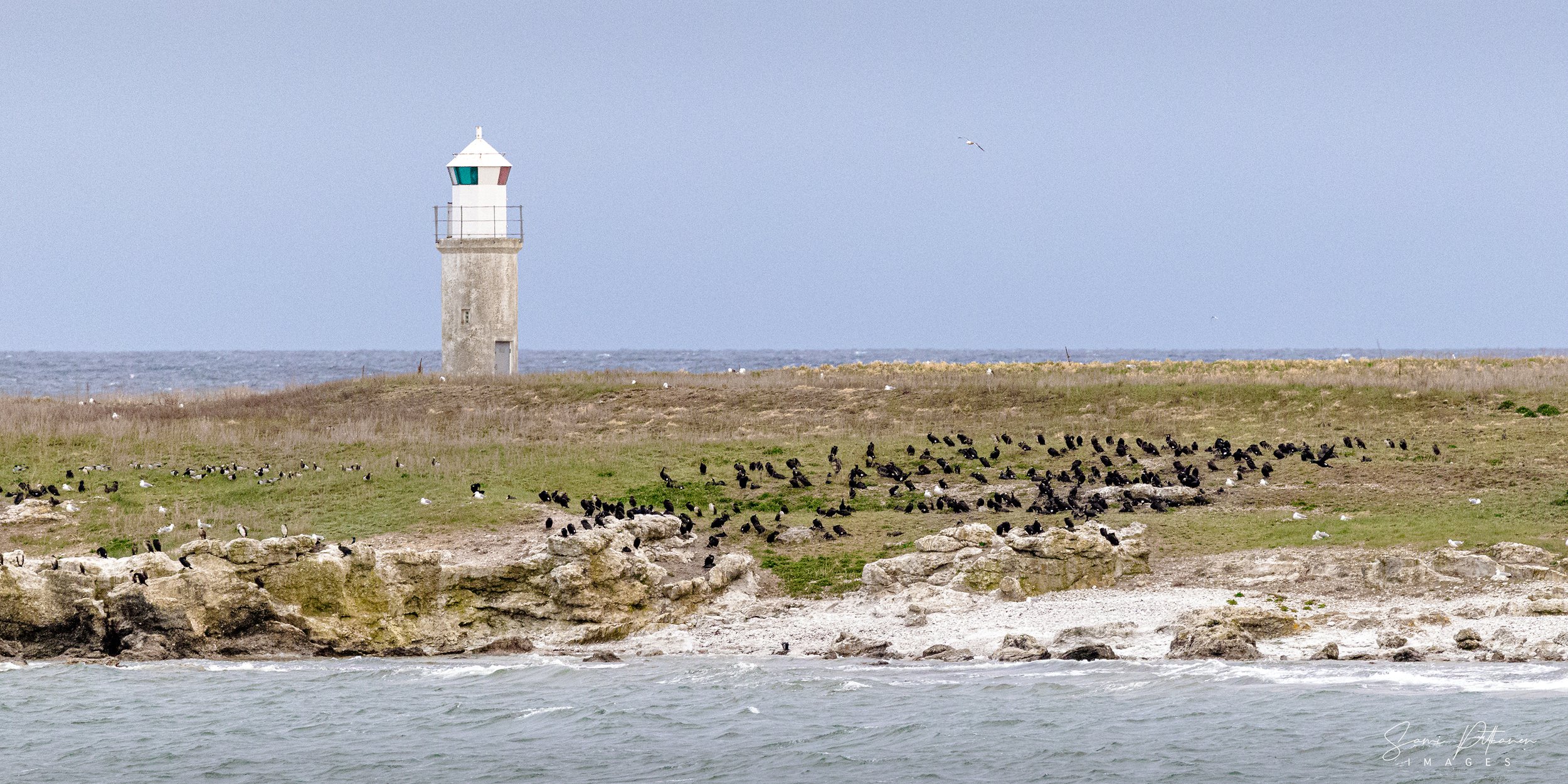 4L5A8784-2026-04-25-gotland-samipitkanenimages-3000-tag.jpg