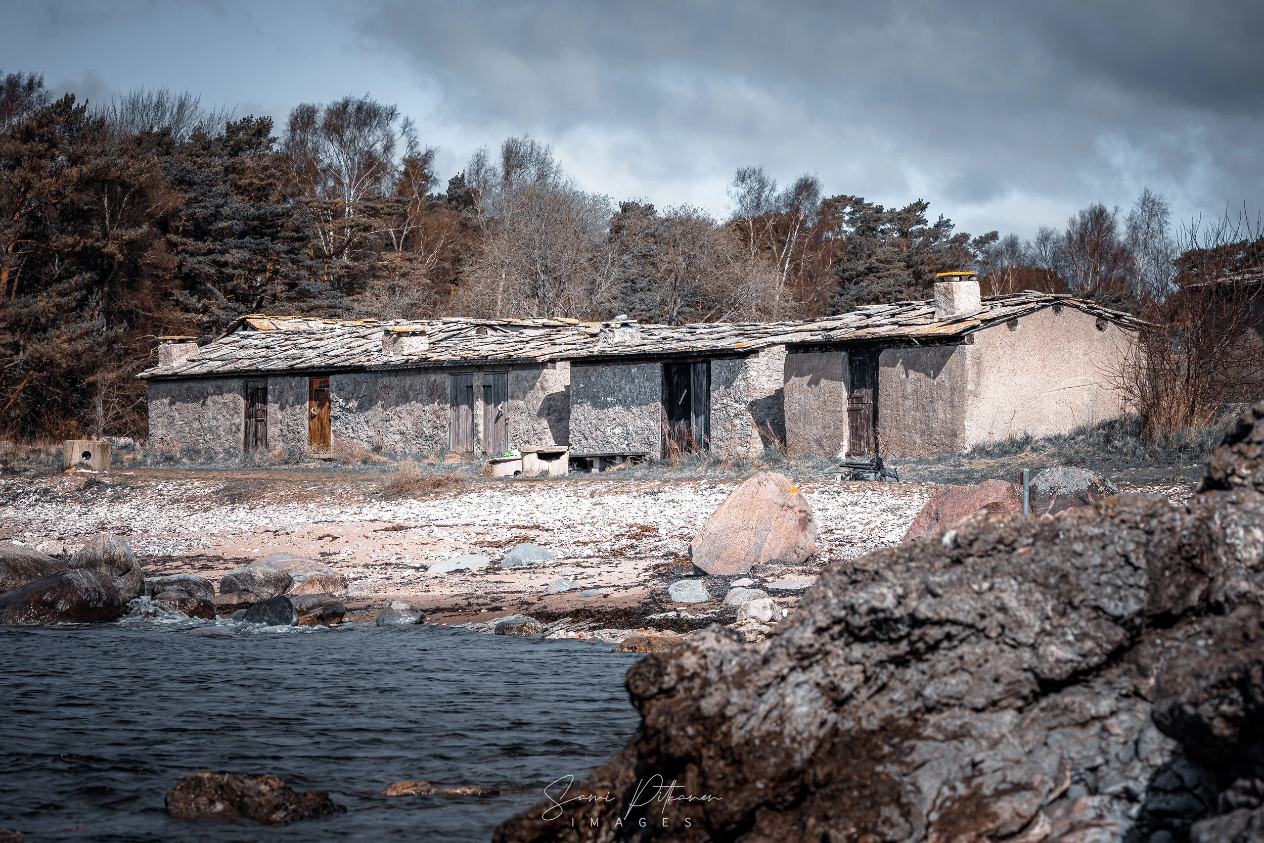 4L5A8913-2026-04-26-gotland-holmhällarna-samipitkanenimages-tag.jpg