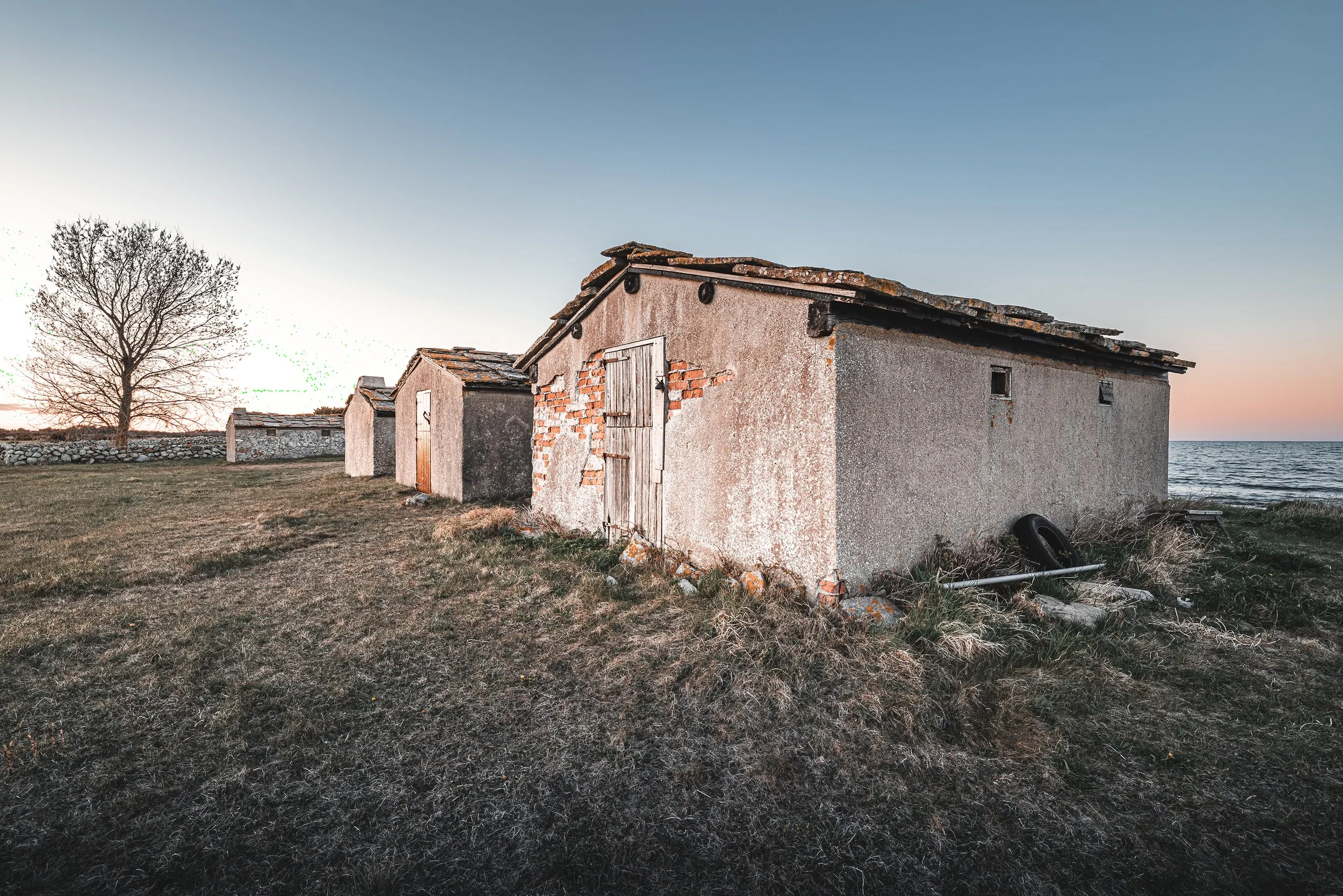 4L5A9187-2026-04-28-gotland-samipitkanenimages-tag.jpg