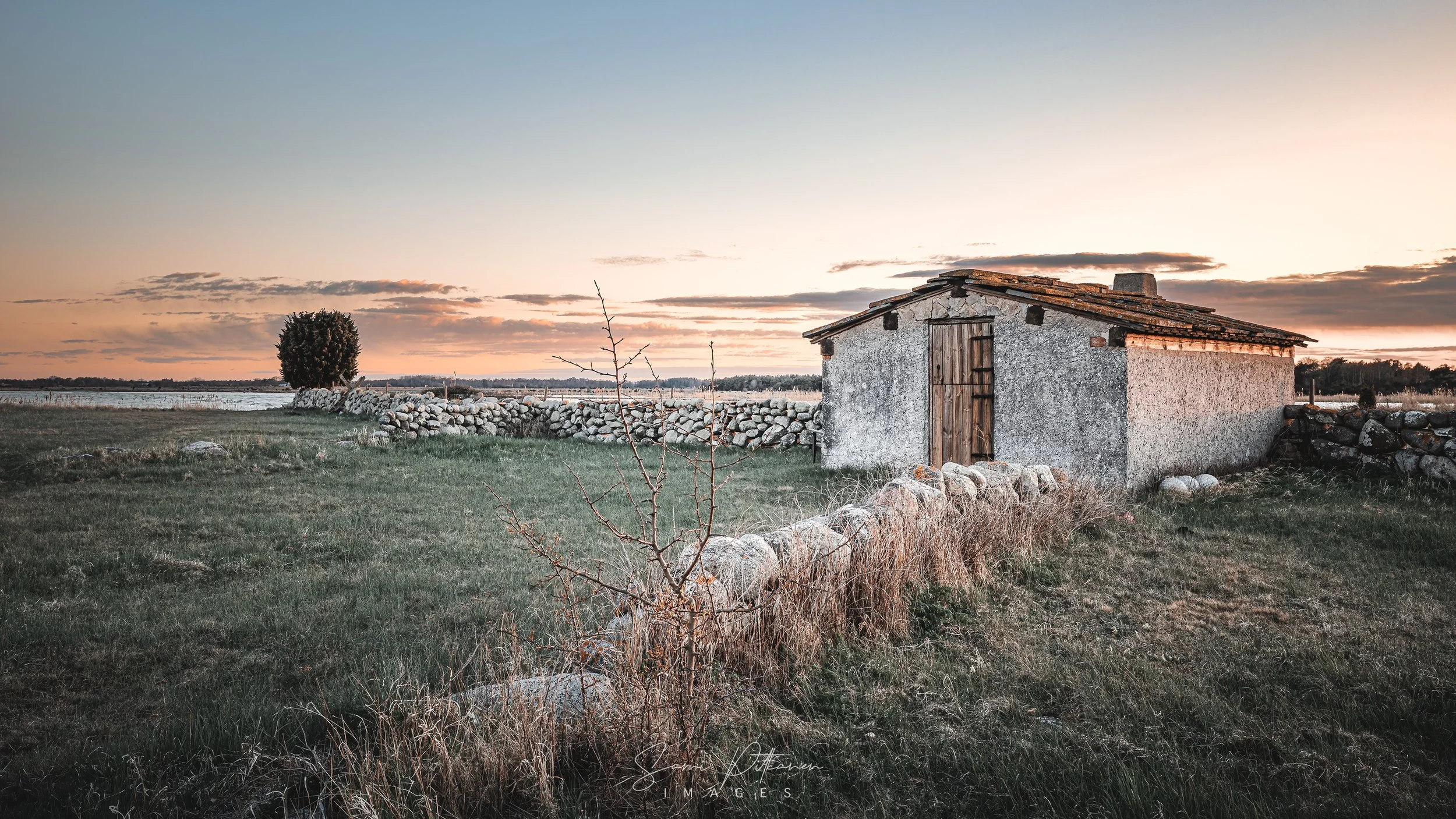 4L5A9160-2026-04-28-gotland-samipitkanenimages-tag.jpg