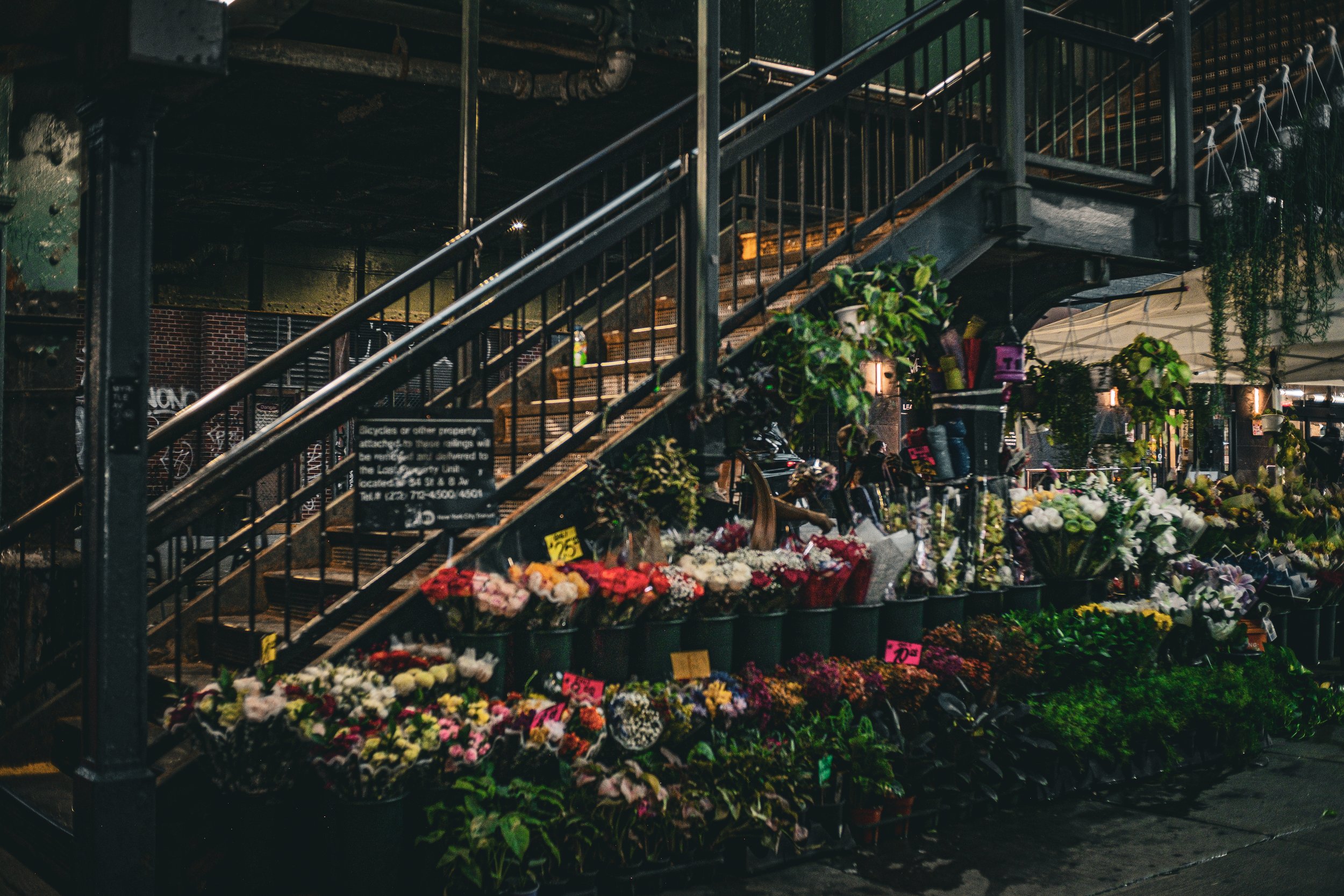 Flowers Bloom Best In Chaos