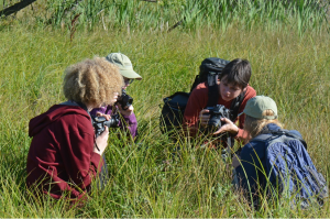  (From left) Liam Abbott, Claire Vantol, Anyll Markevich, and Eva Getman getting personal with a praying mantis. Photo by Stephen Jones. 