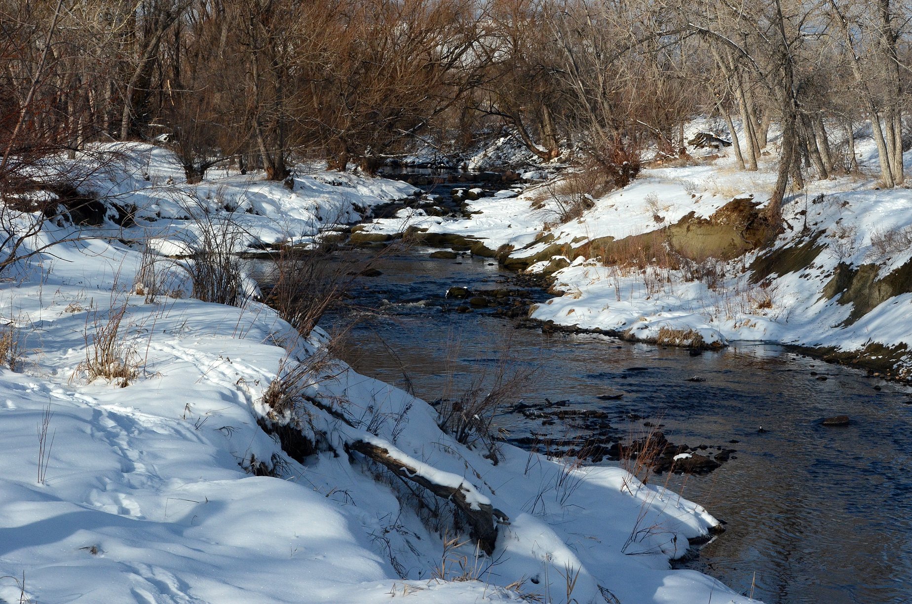  Clear Creek on January 21, 2023. Photo by Steve Jones. 