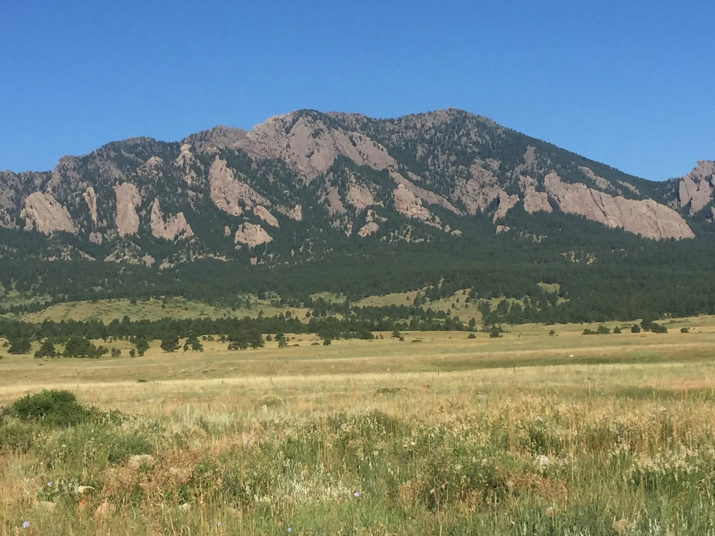 Conservation Corner - April 2026