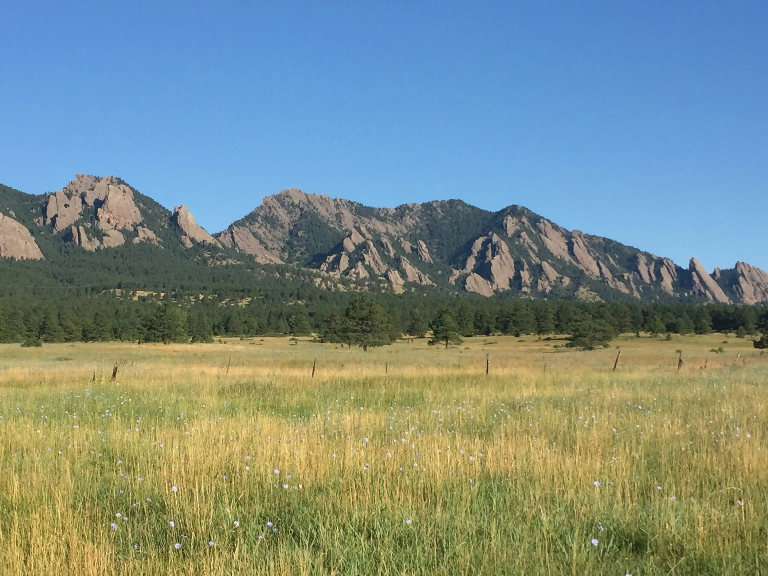 Conservation Corner Updates — Boulder County Audubon