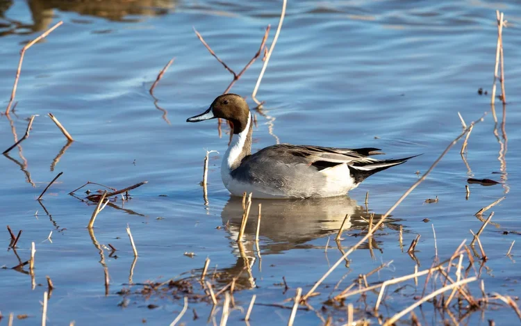 Standley Lake South Side