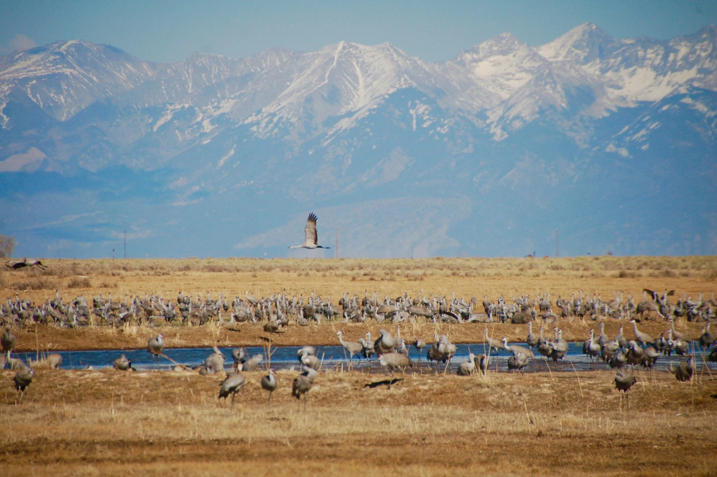 Why Private Land Conservation Matters