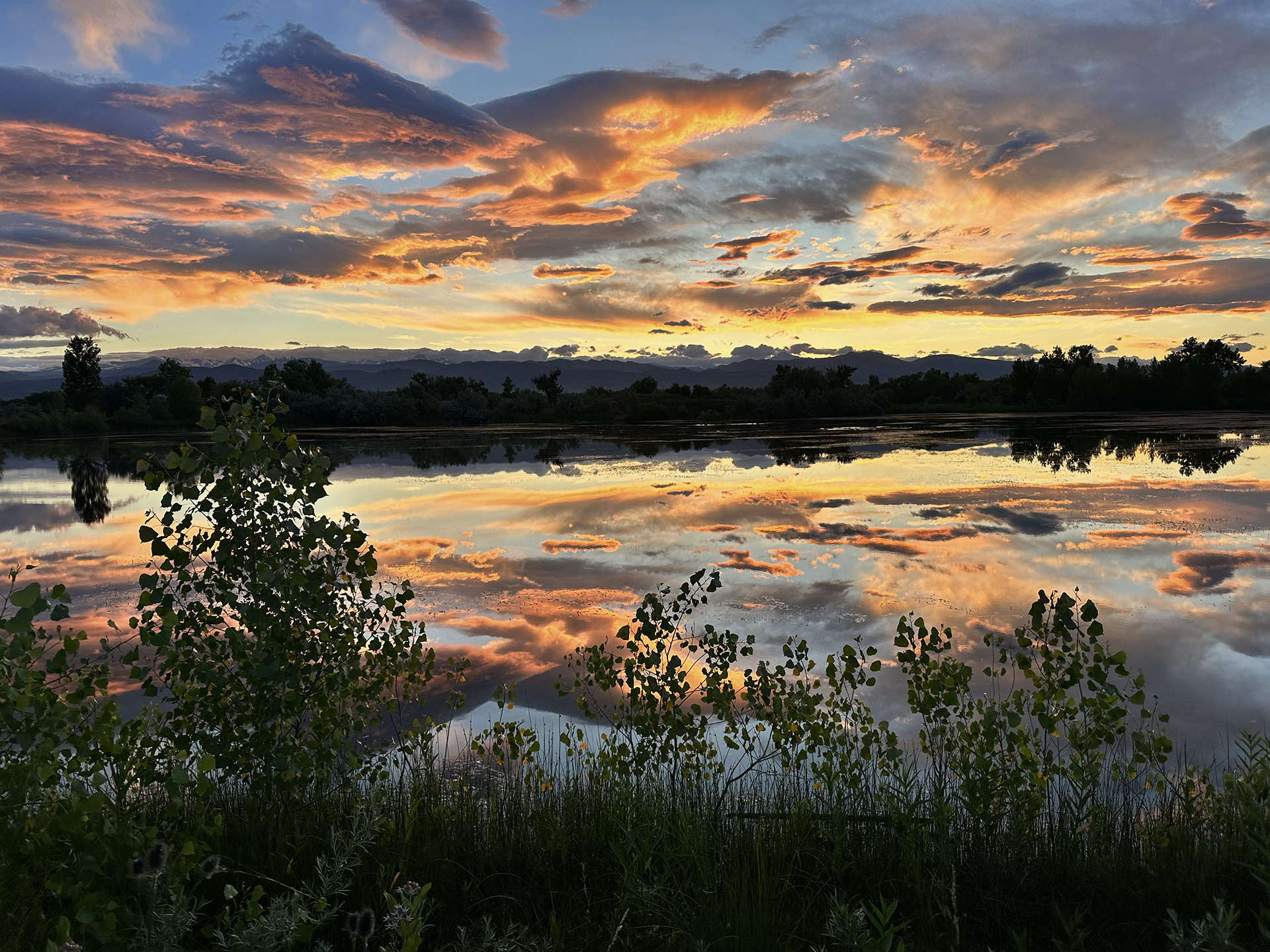 The Music of Landscapes