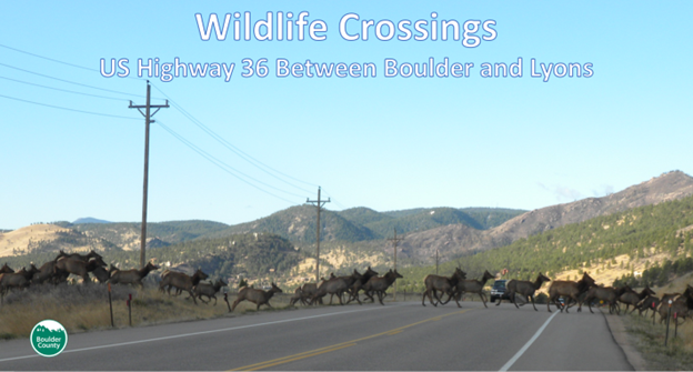 Conservation Corner - November 2024 — Boulder County Audubon