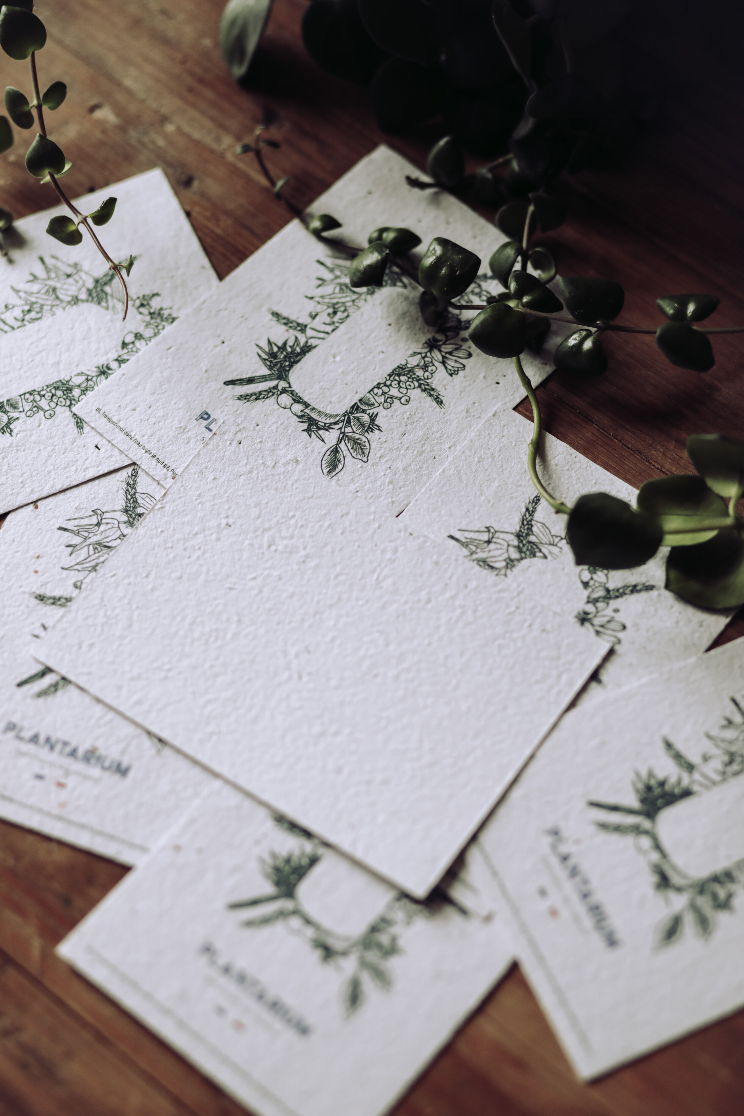 Carte cadeau ensemencé au message personnalisable.