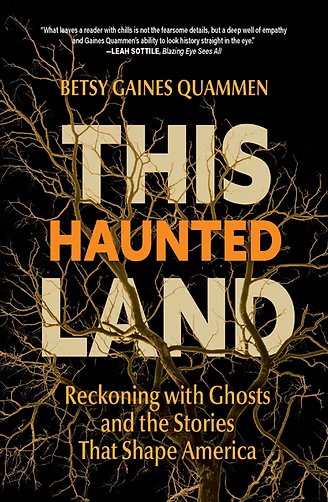 hauntedland.jpg